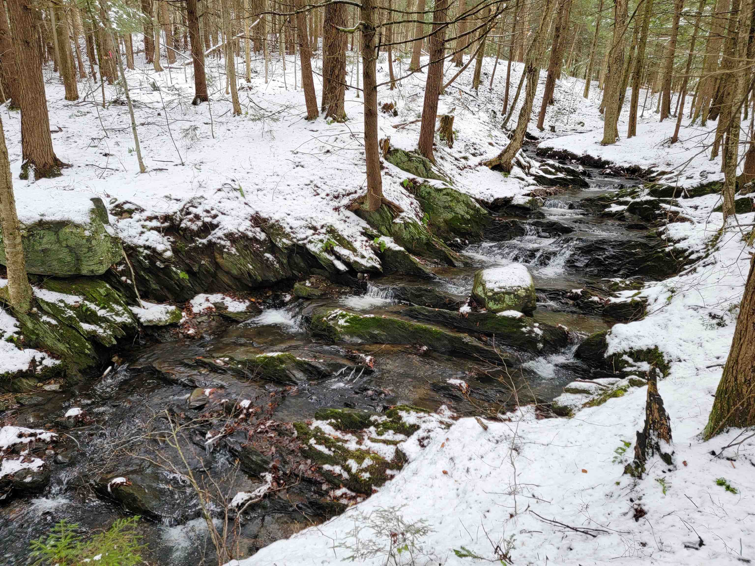 167 High Meadow Road Stowe, VT 05672 - Photo 37 of 55