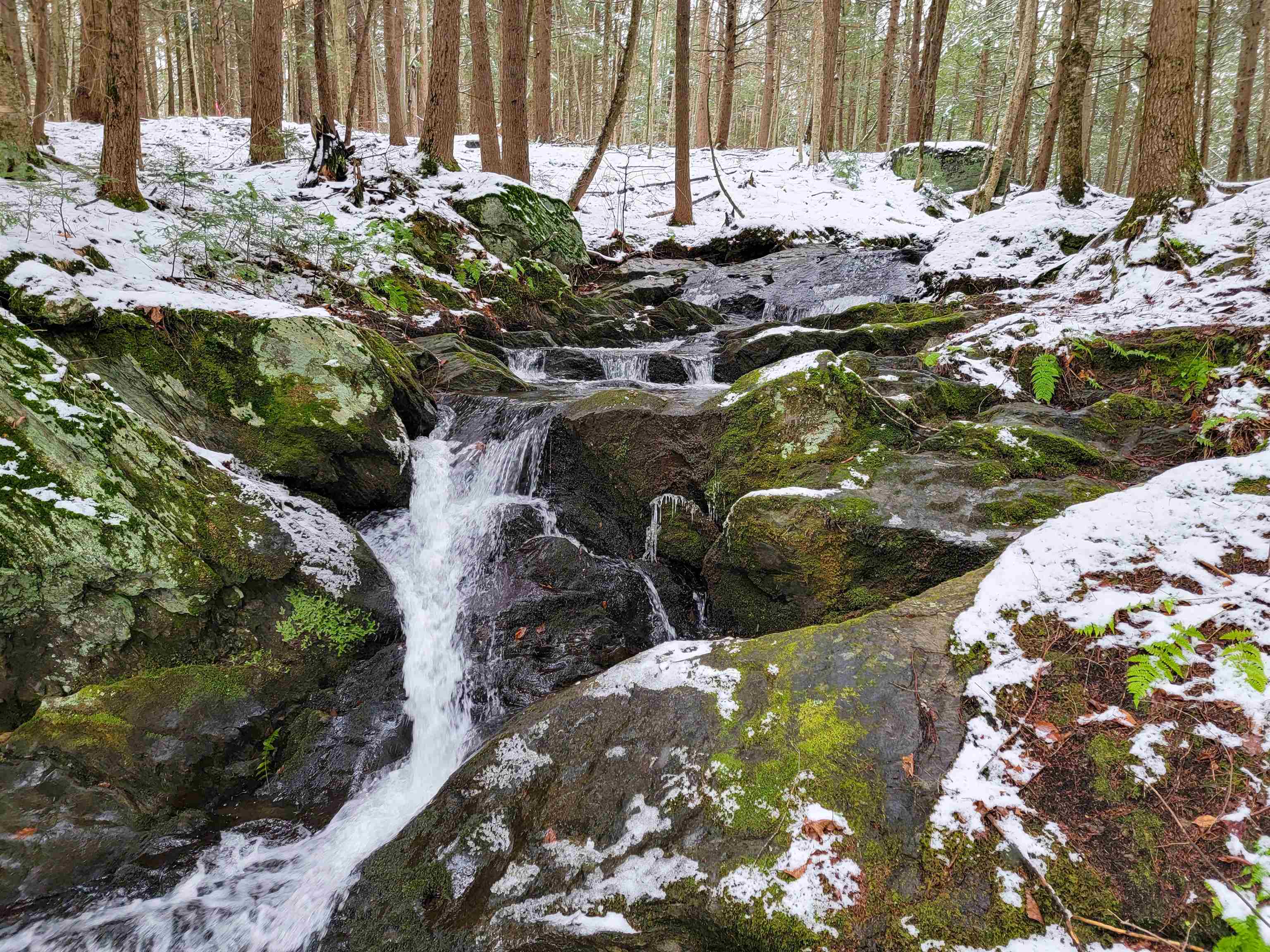 167 High Meadow Road Stowe, VT 05672 - Photo 38 of 55