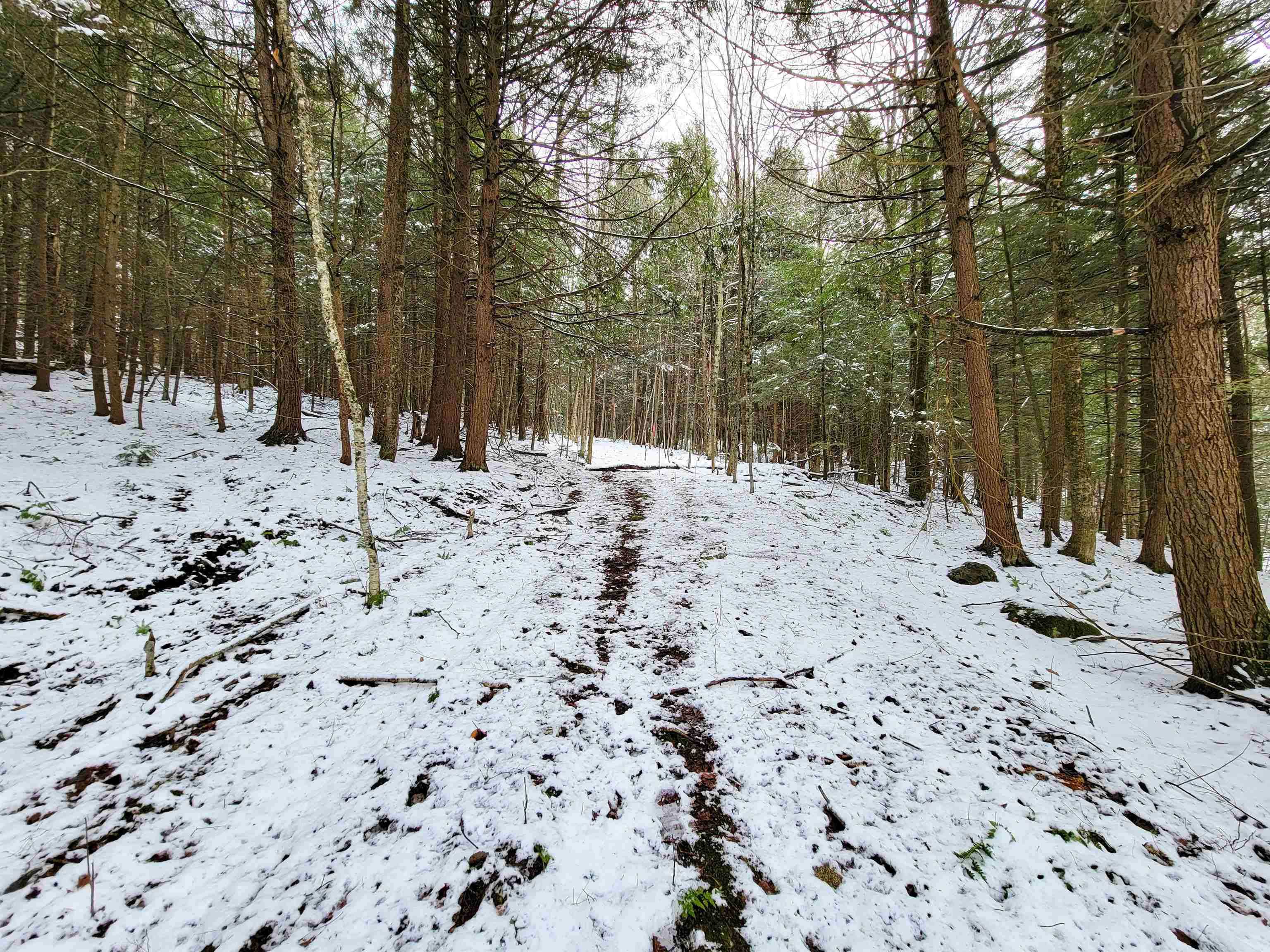 167 High Meadow Road Stowe, VT 05672 - Photo 39 of 55