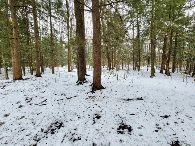 $695,000 | 167 High Meadow Road, Stowe, VT 05672