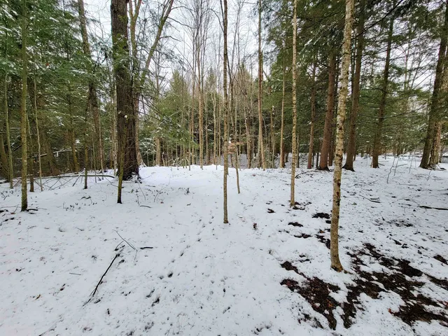 $695,000 | 167 High Meadow Road, Stowe, VT 05672