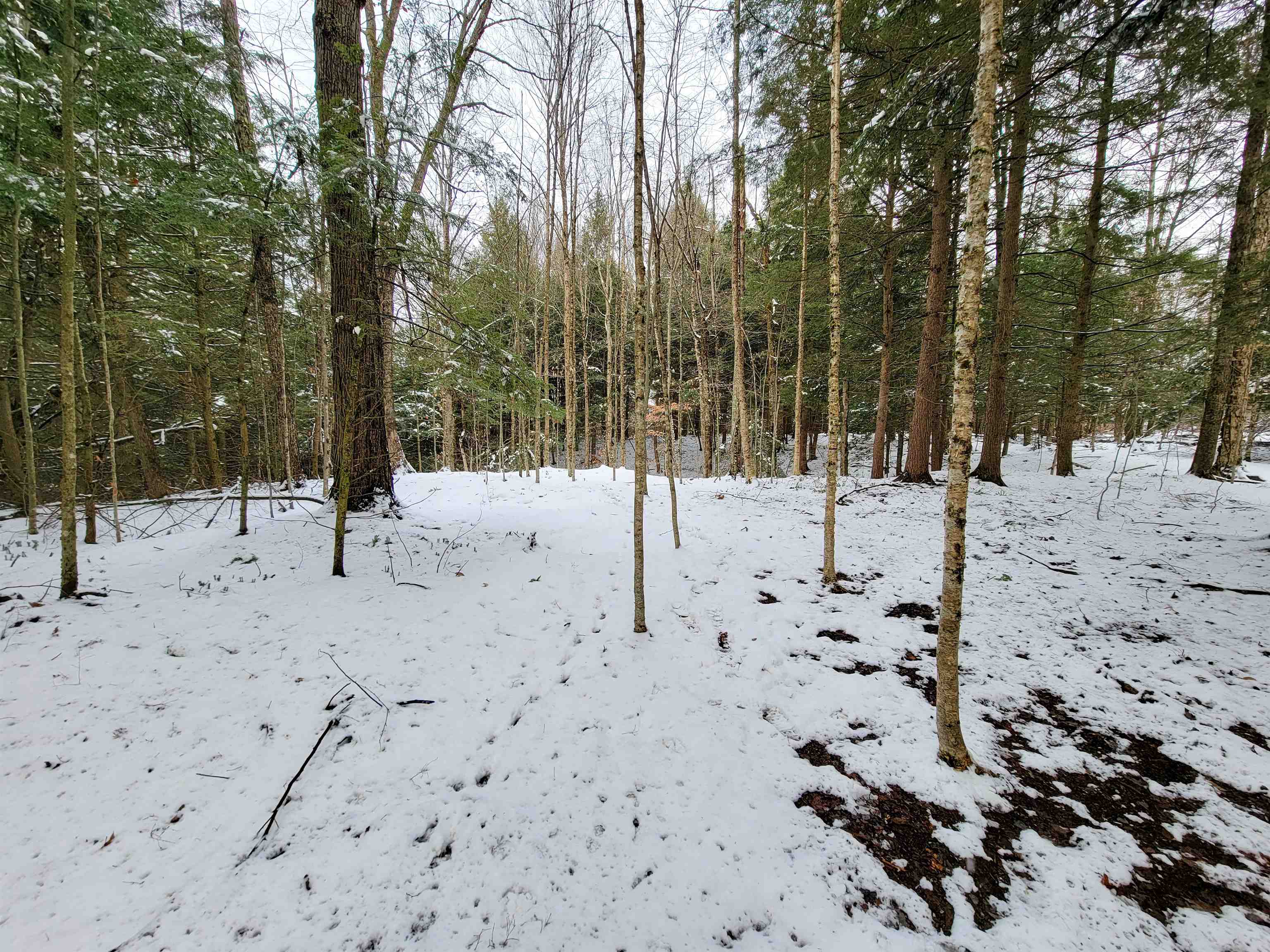 167 High Meadow Road Stowe, VT 05672 - Photo 42 of 55