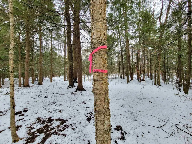 $695,000 | 167 High Meadow Road, Stowe, VT 05672