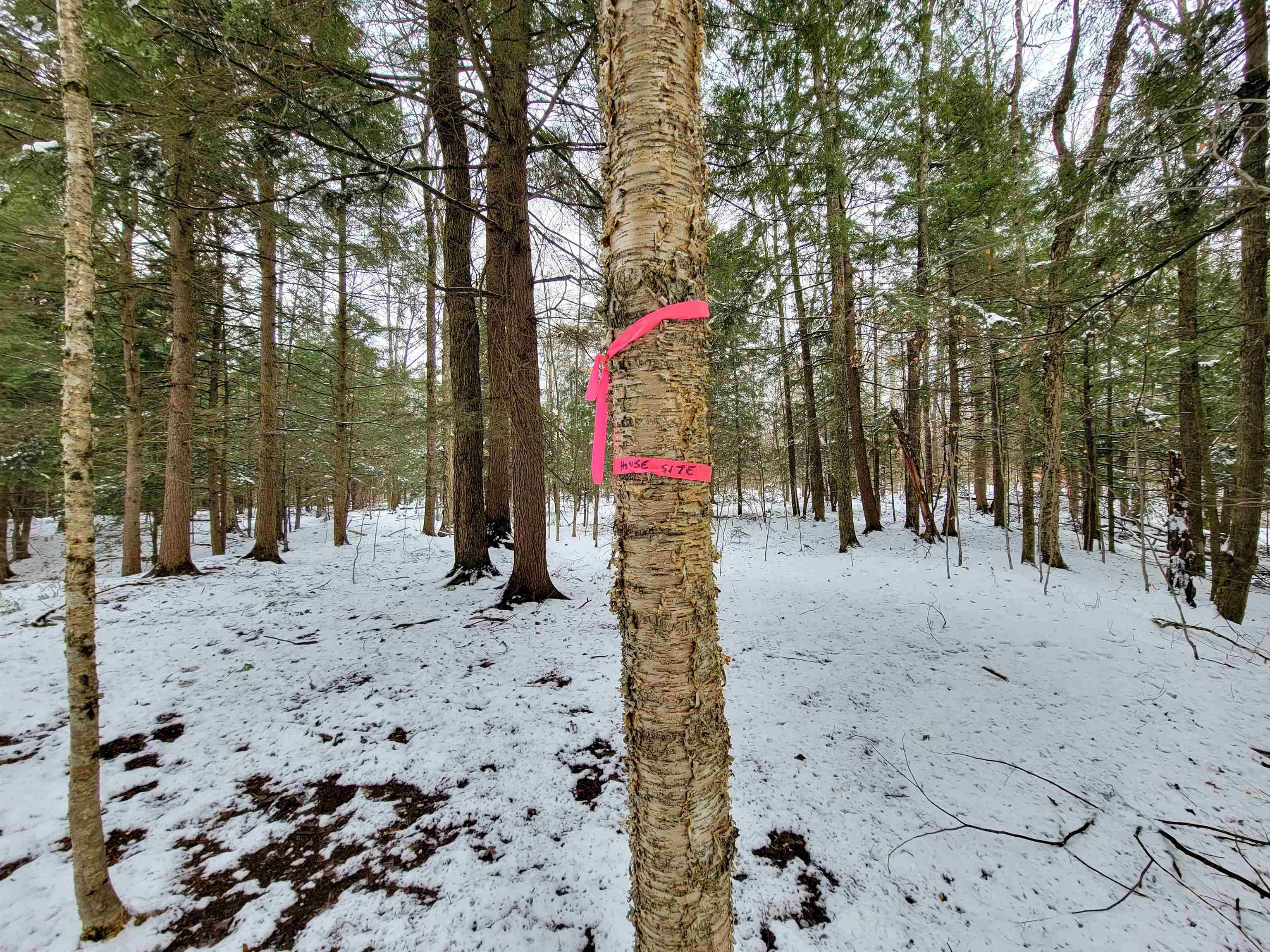 167 High Meadow Road Stowe, VT 05672 - Photo 43 of 55