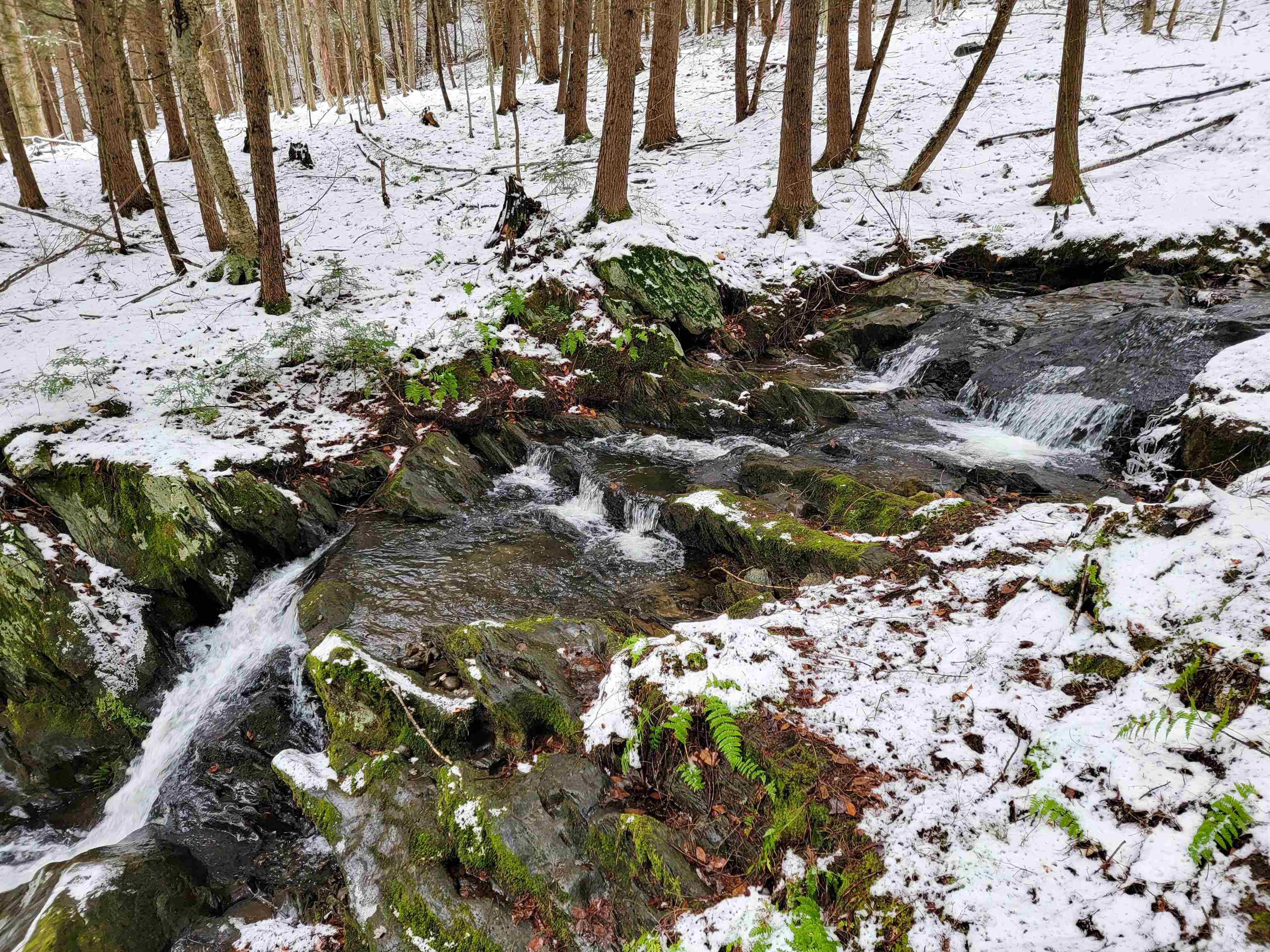 167 High Meadow Road Stowe, VT 05672 - Photo 5 of 55