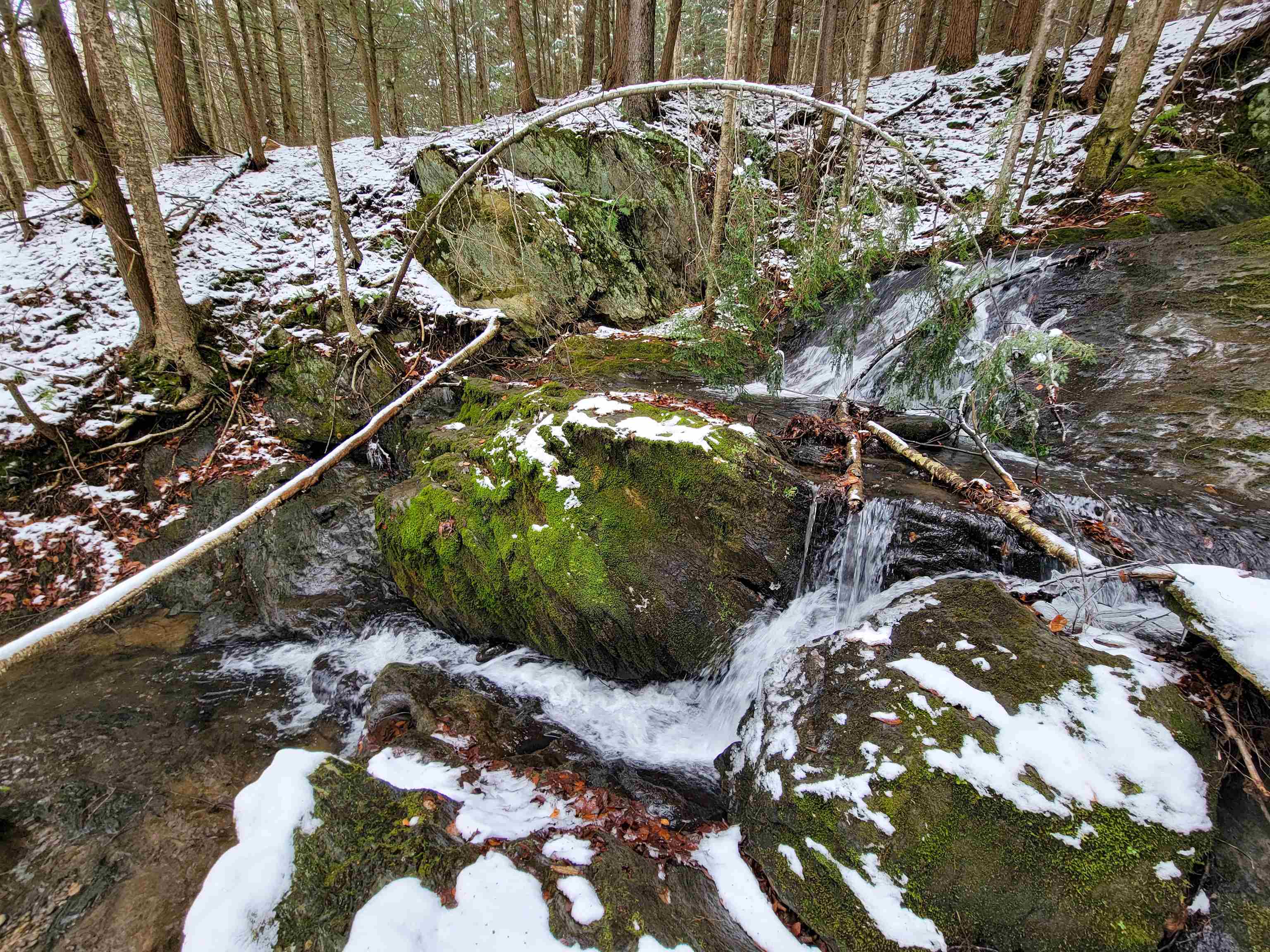 167 High Meadow Road Stowe, VT 05672 - Photo 9 of 55