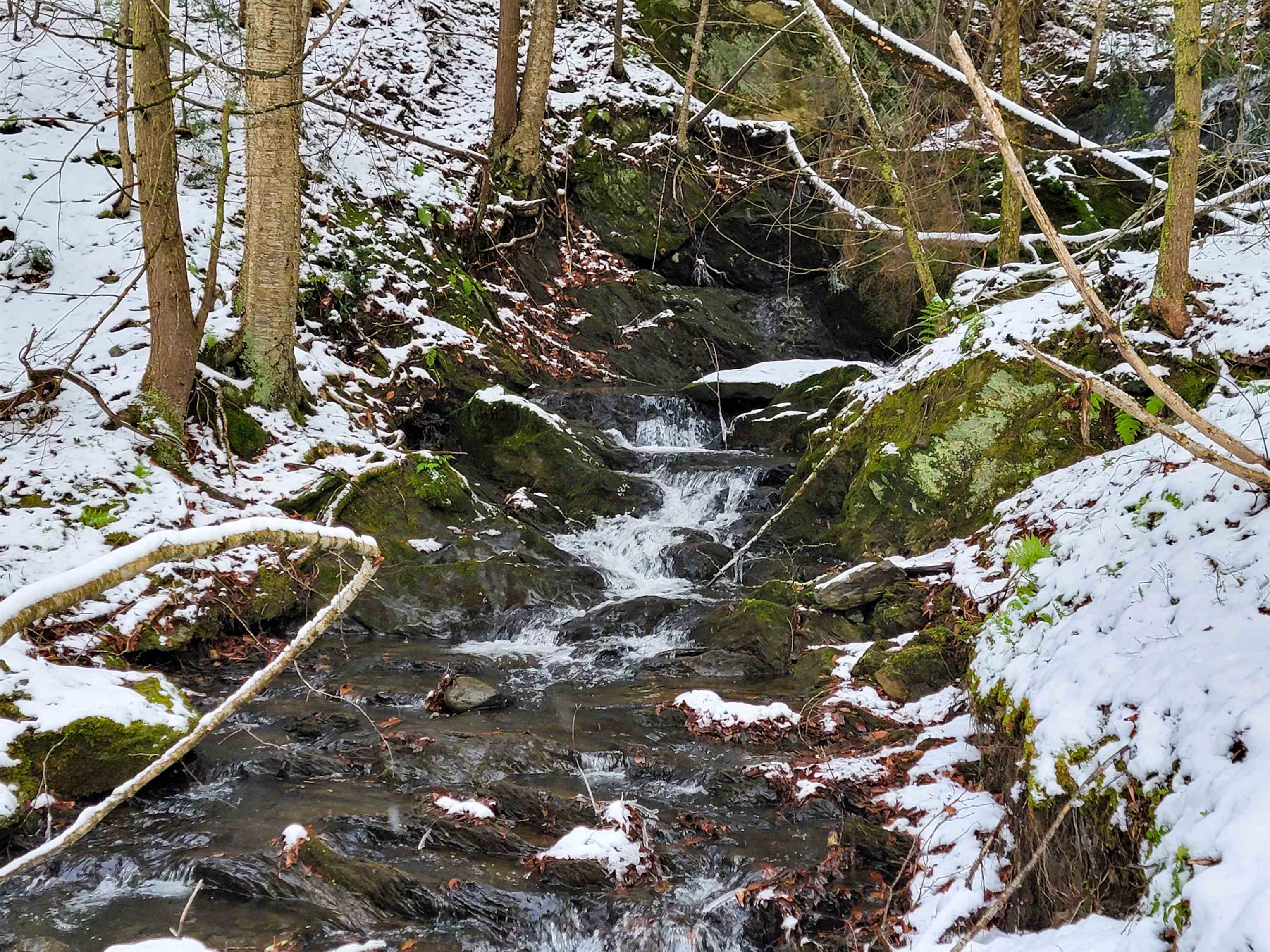 167 High Meadow Road Stowe, VT 05672 - Photo 10 of 55