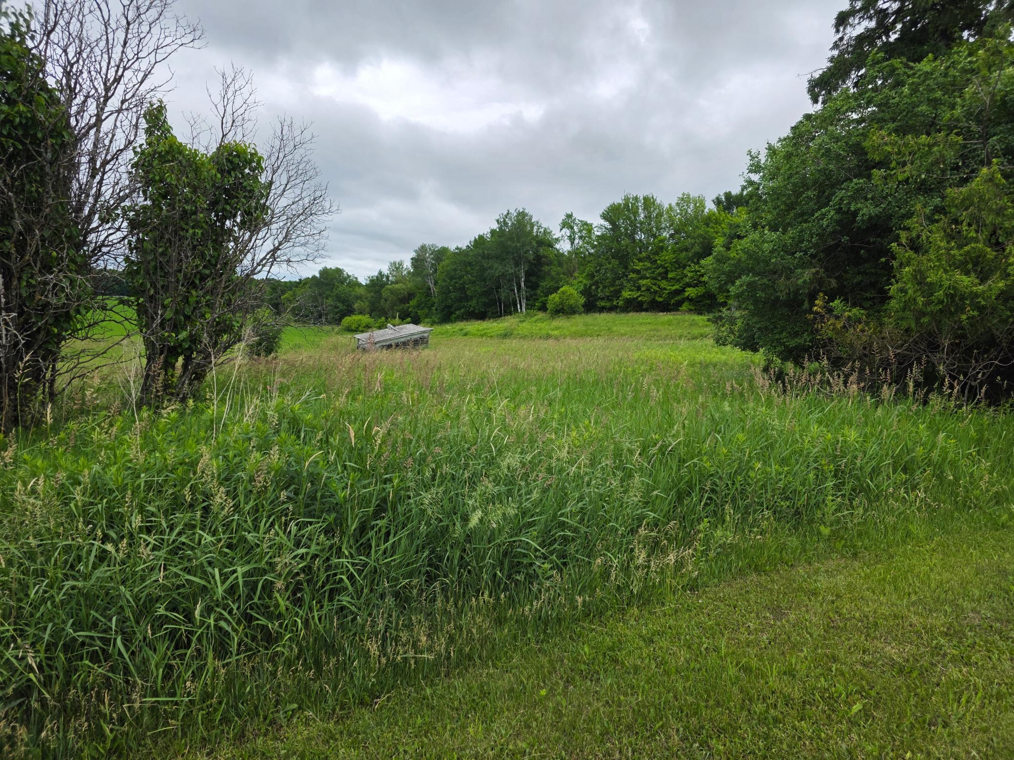 1805 270th Avenue, Unit B Luck, WI 54853 - Photo 3 of 3