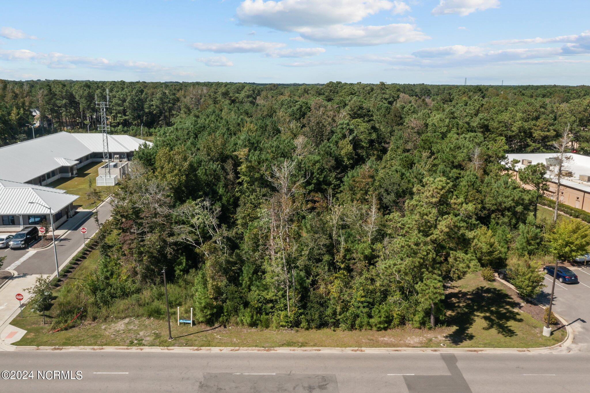 3 East Florence Way Hampstead, NC 28443 - Photo 5 of 22 4-web-or-mls-04