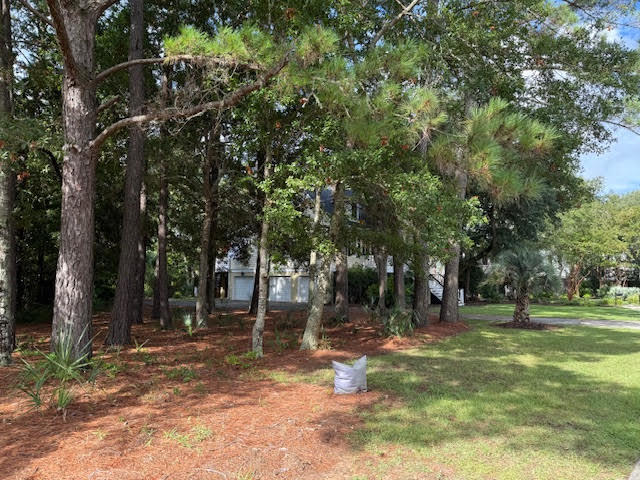 1501 Rice Marsh Court Mount Pleasant, SC 29466 - Photo 5 of 14 P5