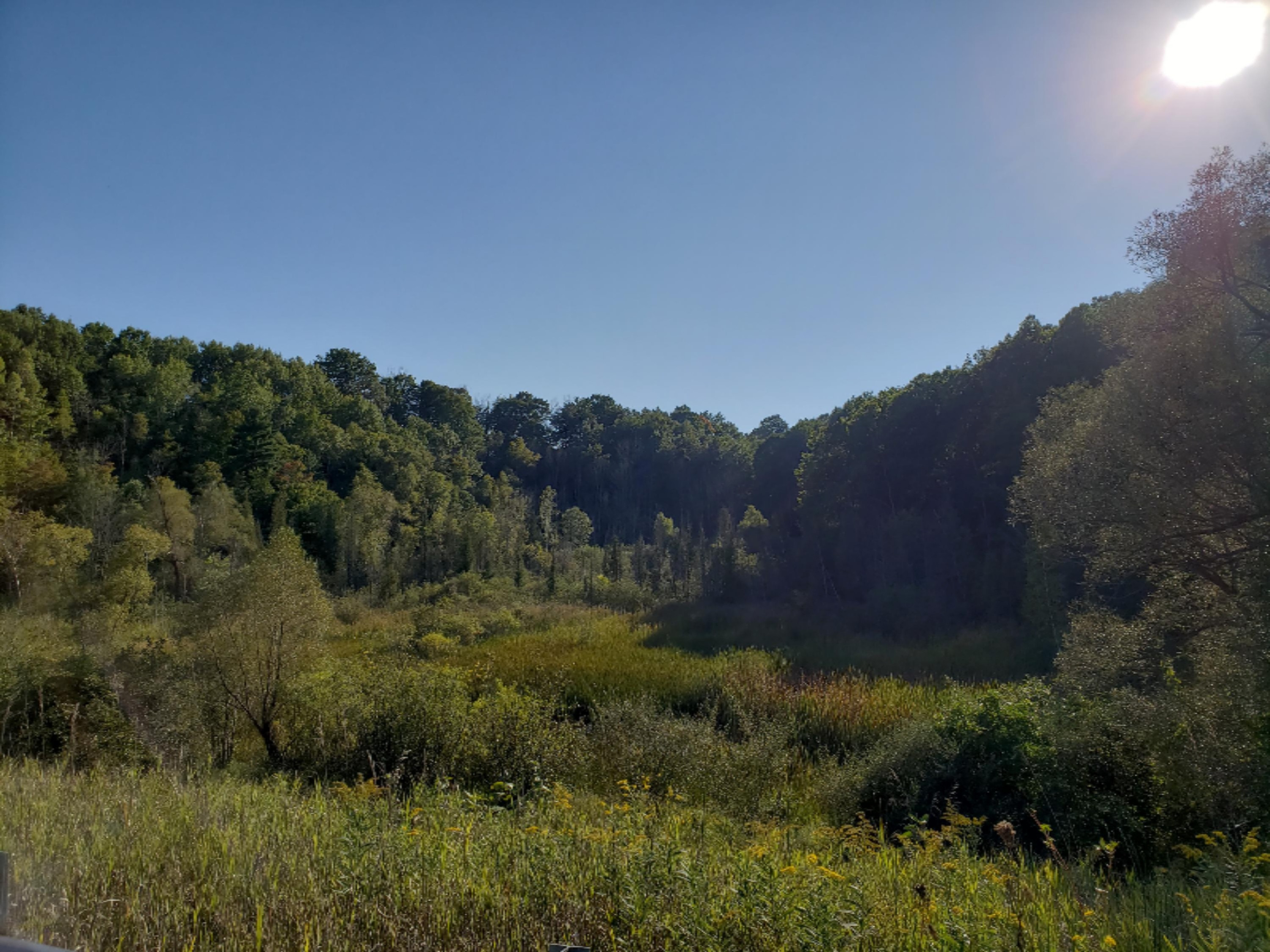 Filer City Road Manistee, MI 49660 - Photo 4 of 6 20180914_173542