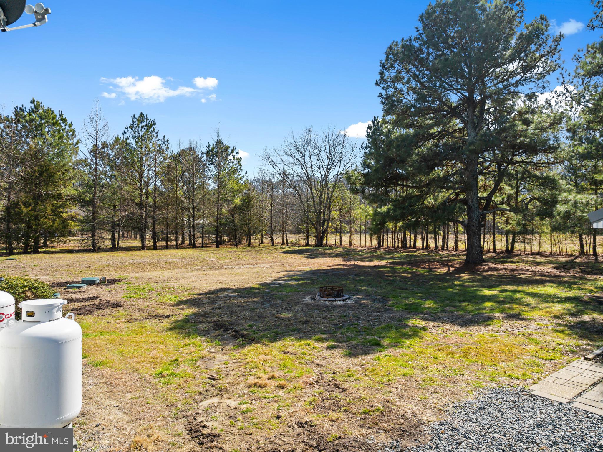 9729 Timmonstown Road Berlin, MD 21811 - Photo 66 of 69