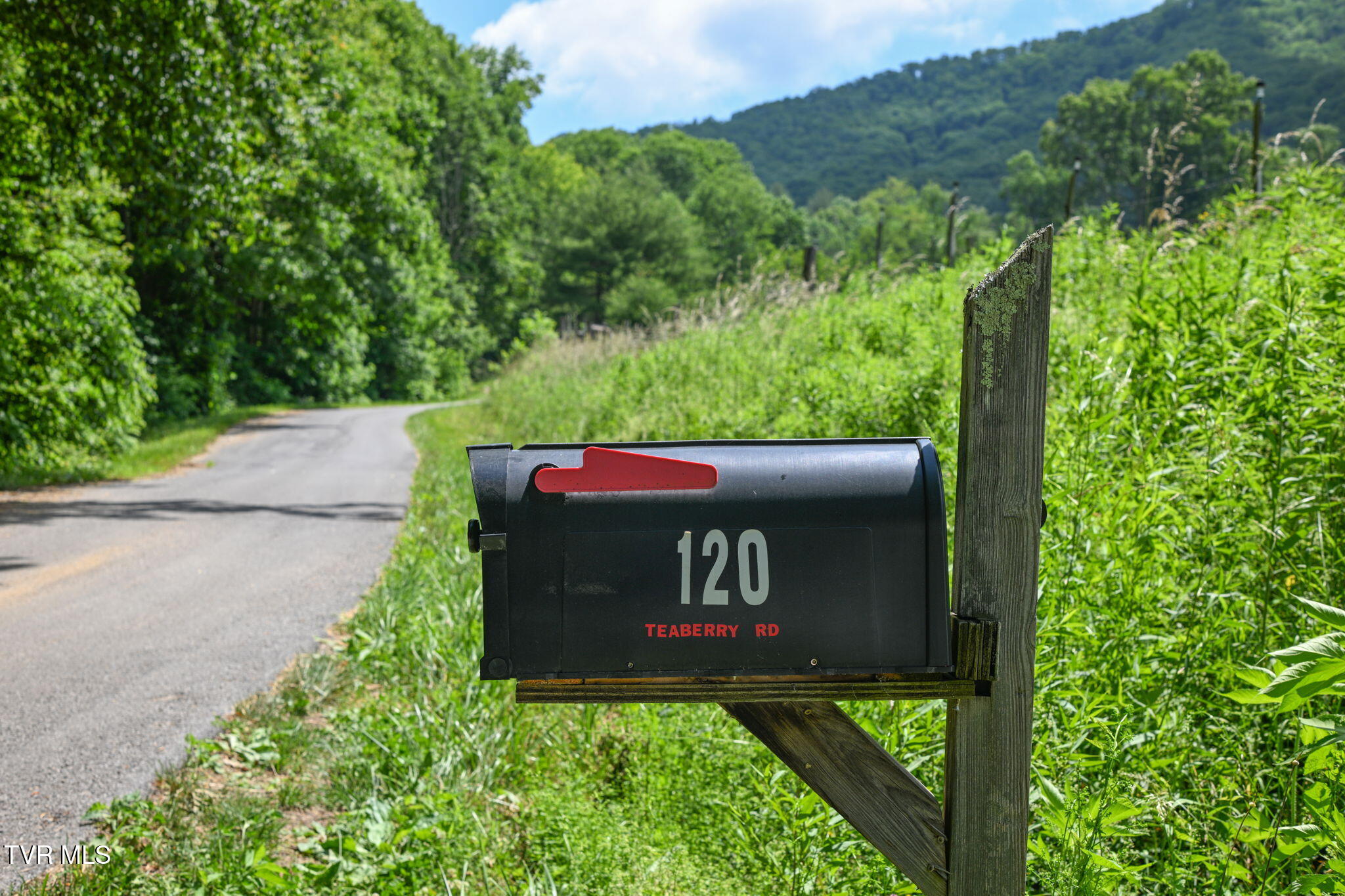 120 Teaberry Road Roan Mountain, TN 37687 - Photo 53 of 56 53-web-or-mls-EXT_4045