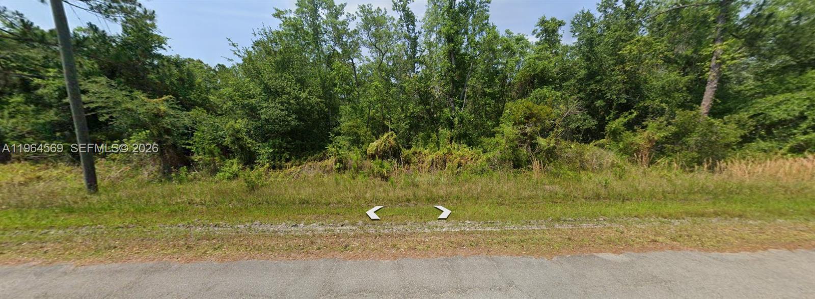 8377 Mantua Avenue Sebring, FL 33872 - Photo 6 of 15 a view of a yard with a tree