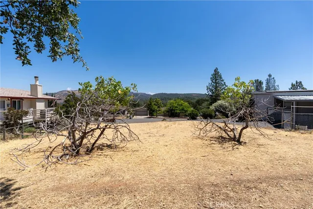 a view of a yard with a tree