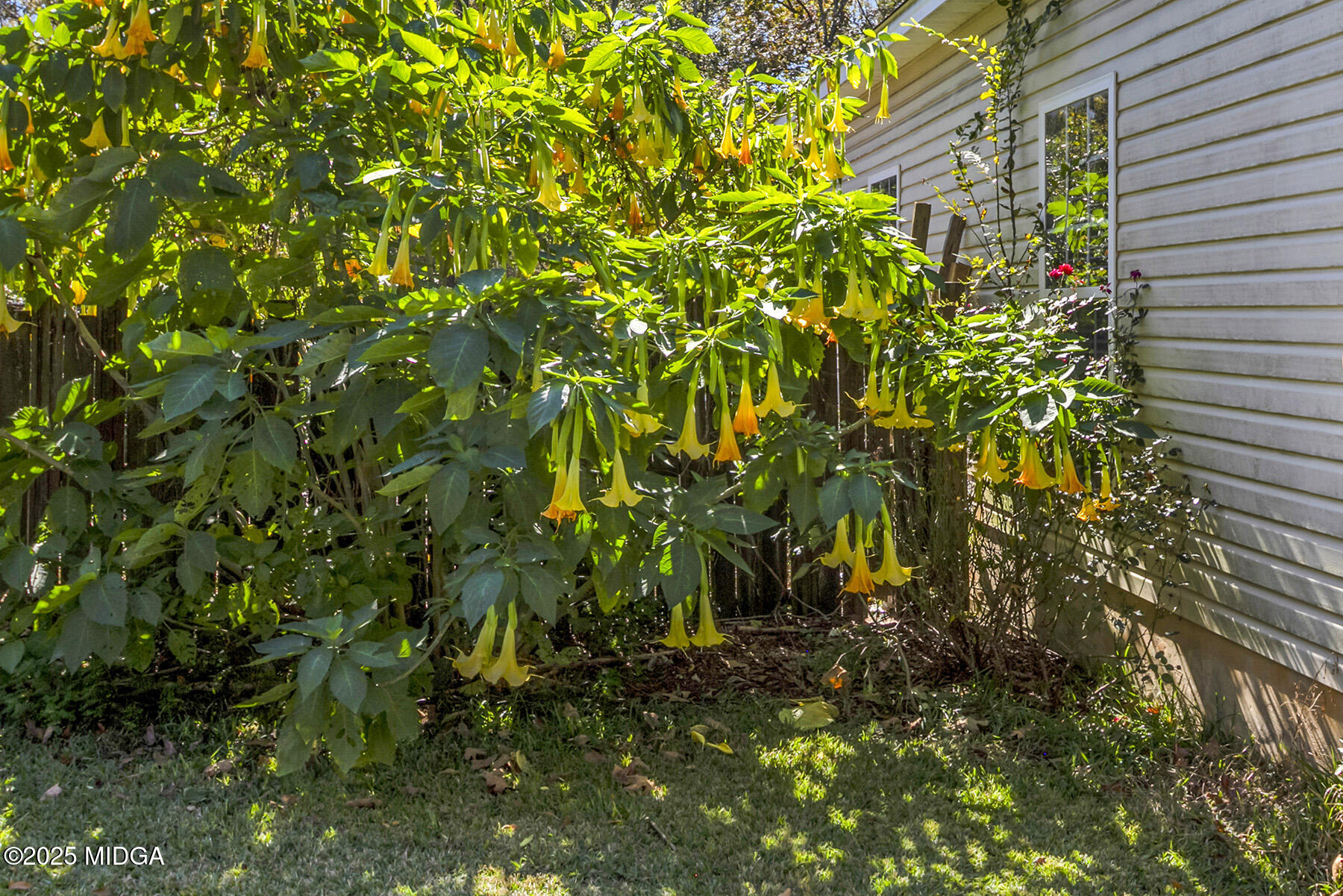 3676 Jones Road Macon, GA 31216 - Photo 30 of 30 35