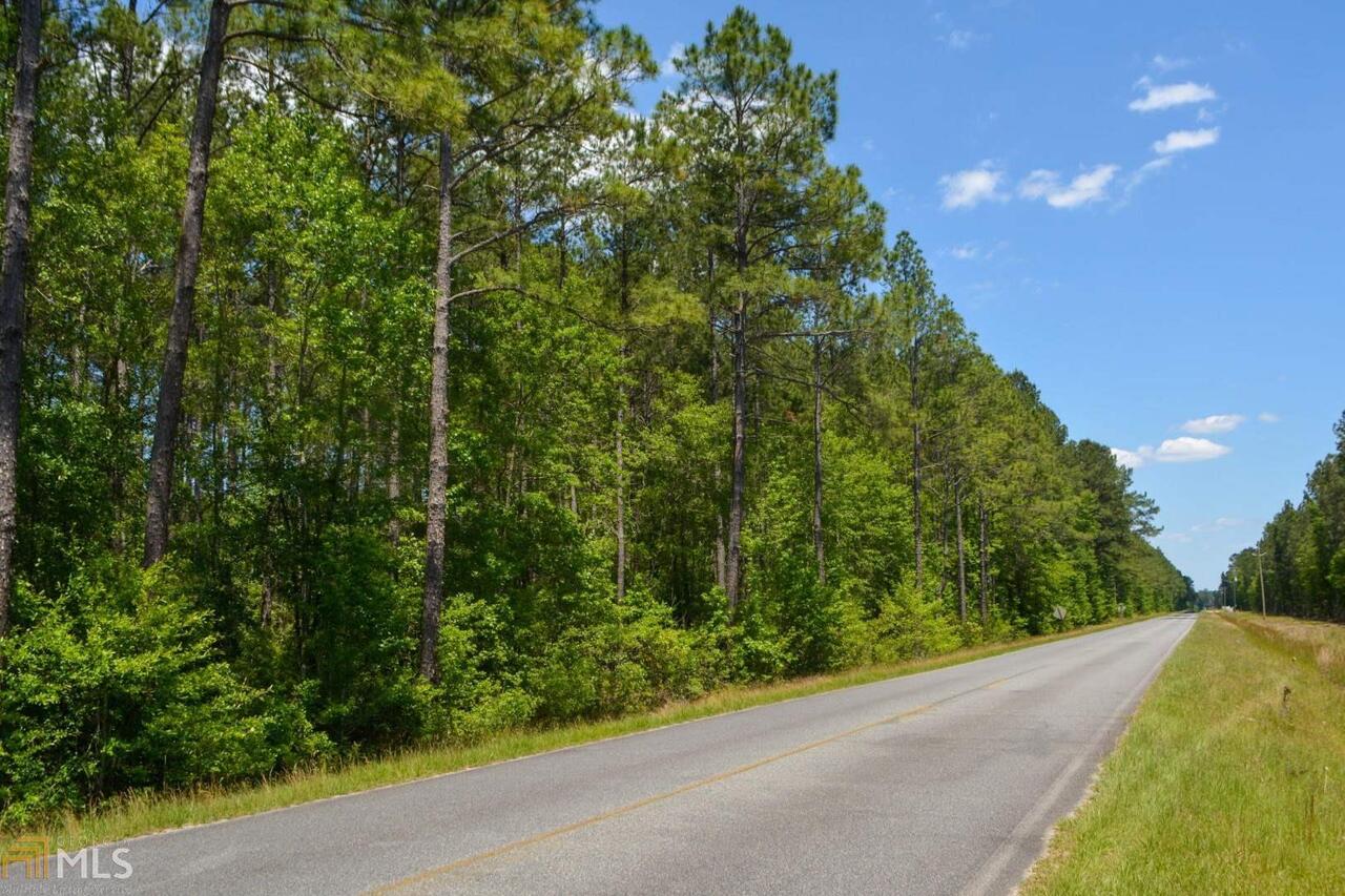 0 Shawnee Egypt Road Springfield, GA 31329 - Photo 1 of 1