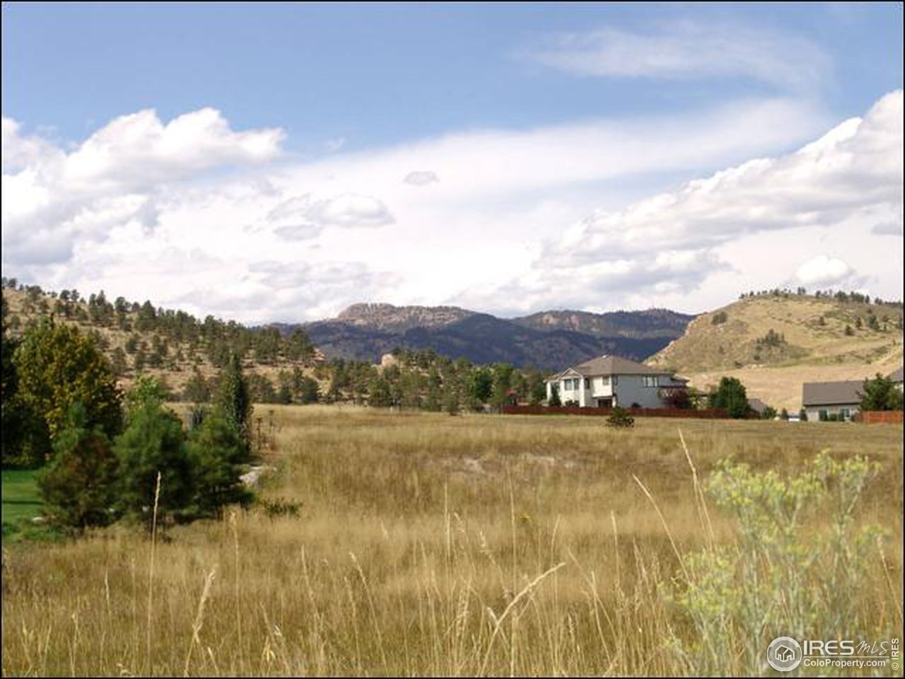 2742 Kit Fox Road Fort Collins, CO 80526 - Photo 9 of 9 Gallery Image 9