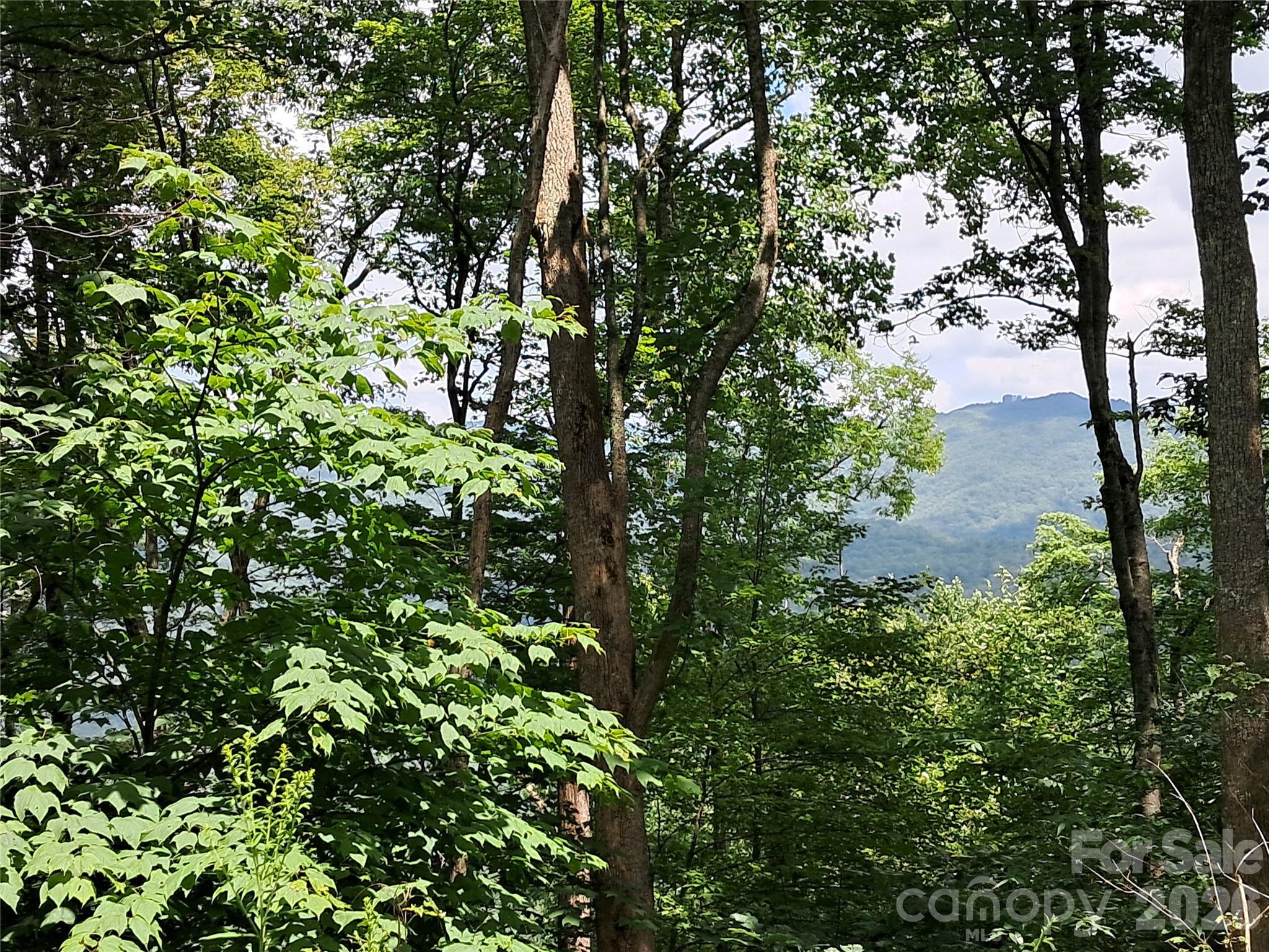 0 Hurricane Rdg Trace, Unit 53 Clyde, NC 28721 - Photo 6 of 12