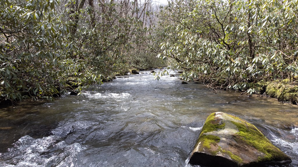0 Little Snowbird Road Robbinsville, NC 28771 - Photo 19 of 19 Gallery Image 19