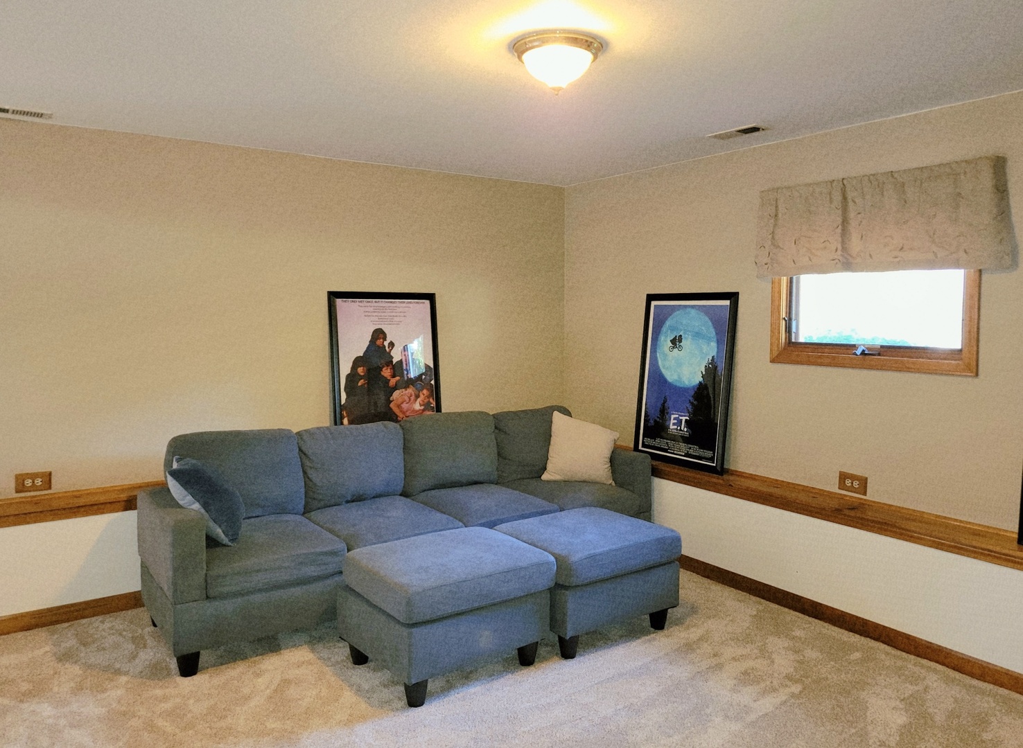 205 Countryside Lane Lindenhurst, IL 60046 - Photo 22 of 33 a living room with furniture and a couch