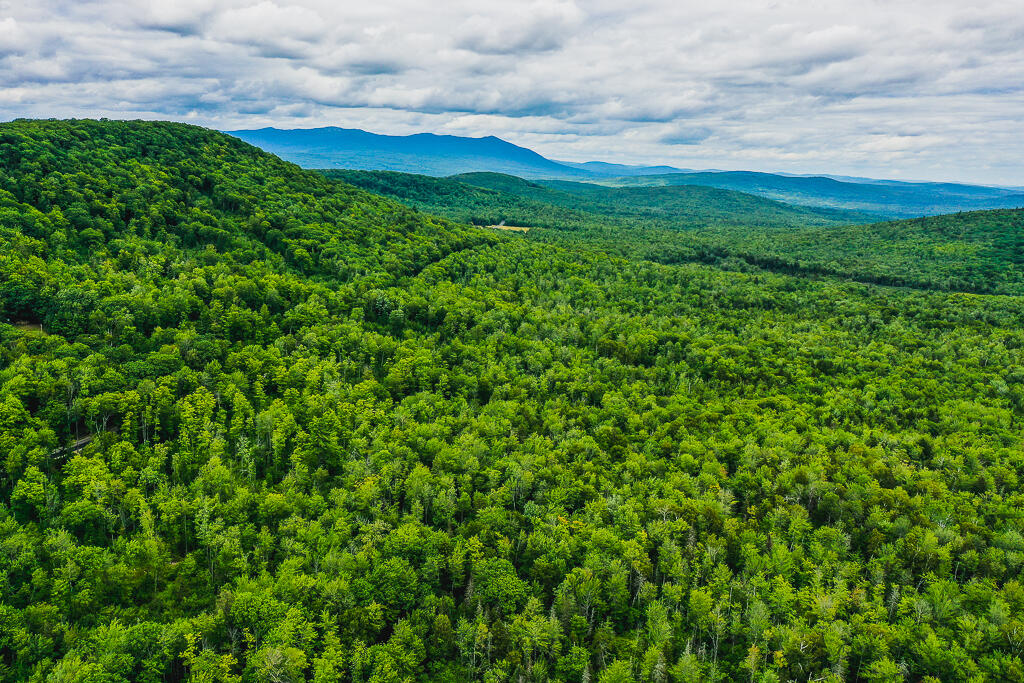 Lot 5 Blue View Phillips, ME 04966 - Photo 14 of 22 DJI_0023-HDR