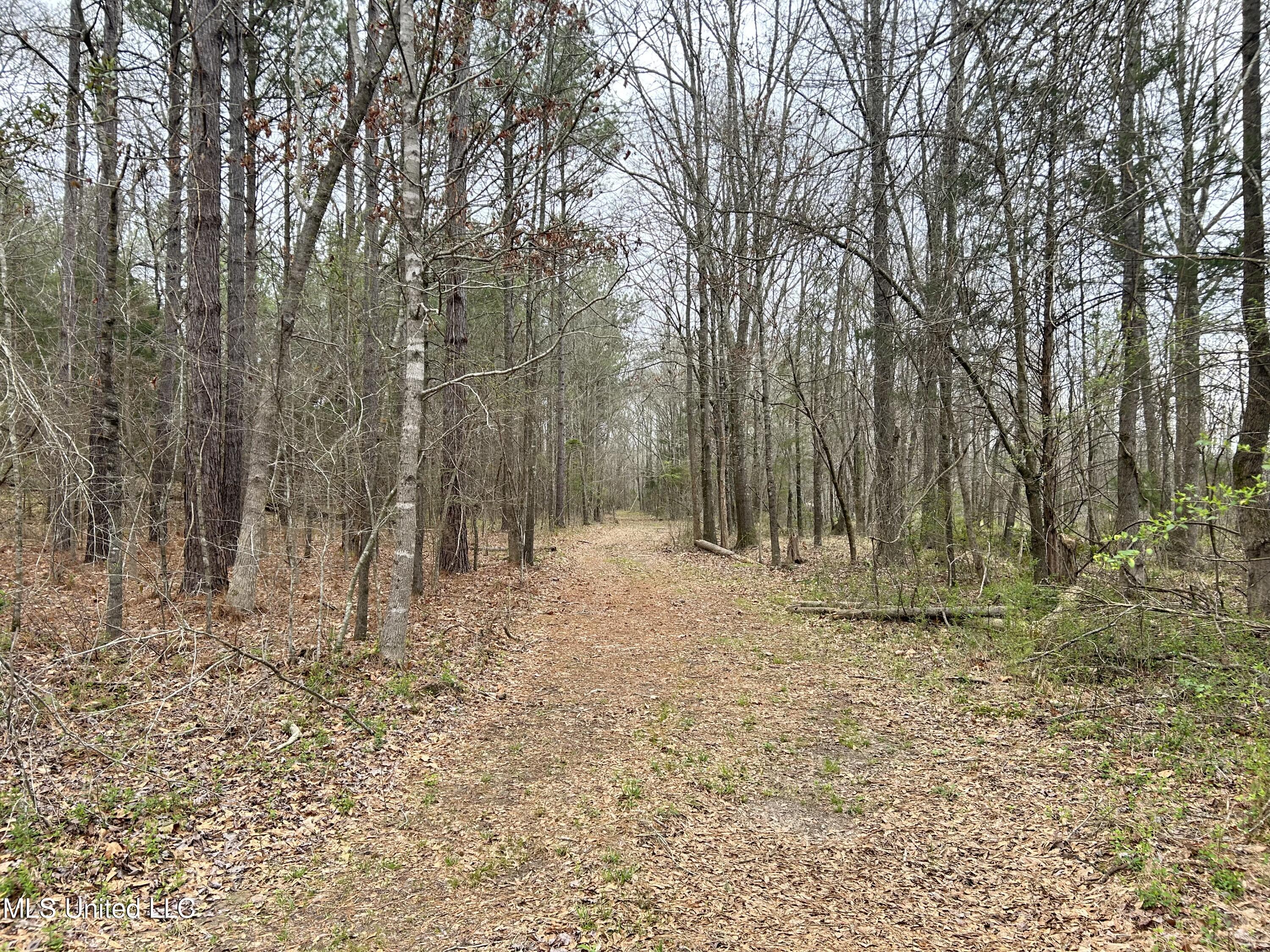 4627 Race Track Road West, MS 39192 - Photo 13 of 73 Photo Mar 14 2024, 9 34 25 AM
