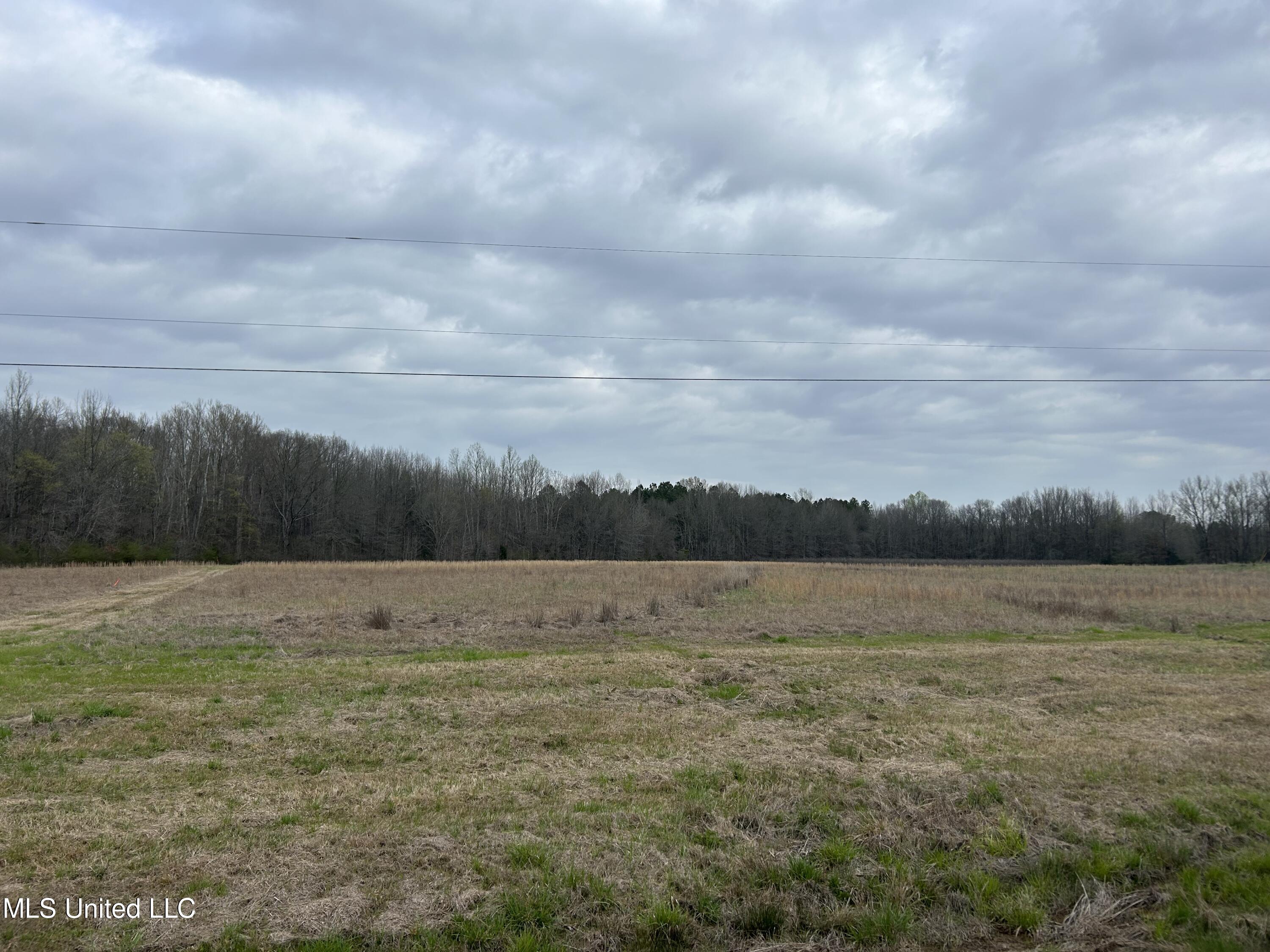 4627 Race Track Road West, MS 39192 - Photo 2 of 73 Photo Mar 14 2024, 9 24 18 AM