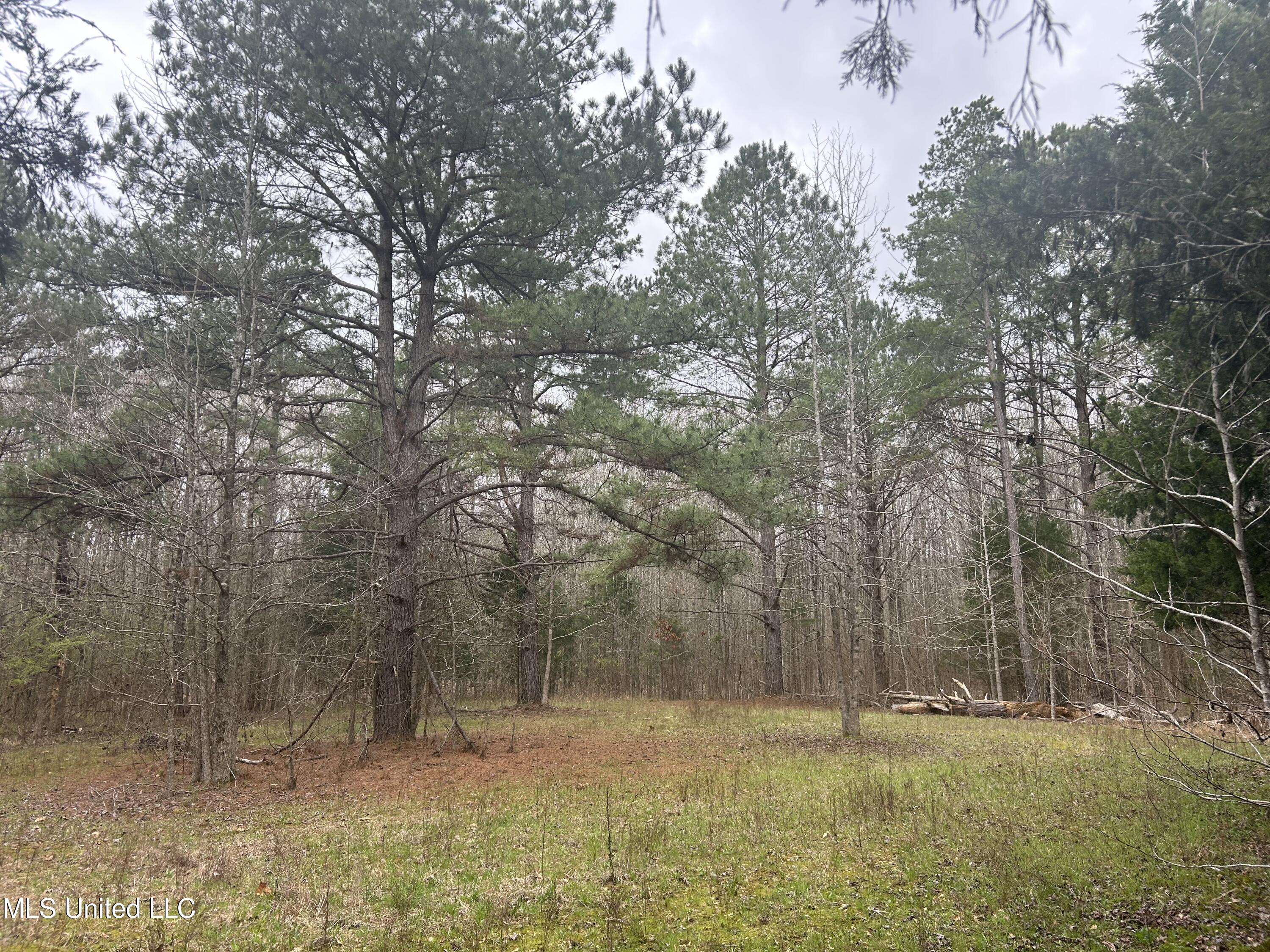 4627 Race Track Road West, MS 39192 - Photo 23 of 73 Photo Mar 14 2024, 9 45 08 AM