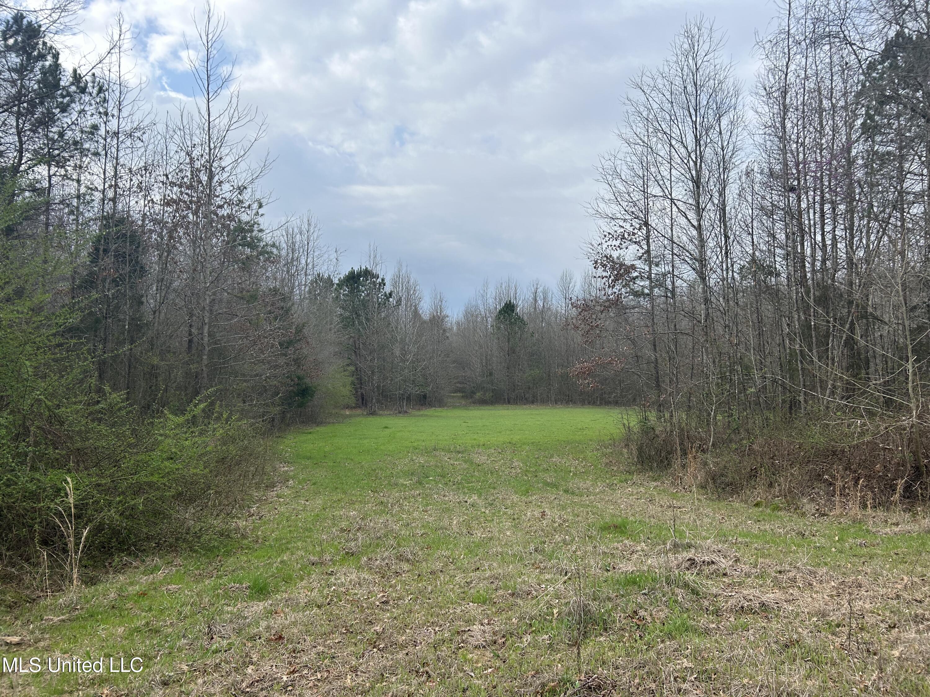 4627 Race Track Road West, MS 39192 - Photo 29 of 73 Photo Mar 14 2024, 9 58 08 AM