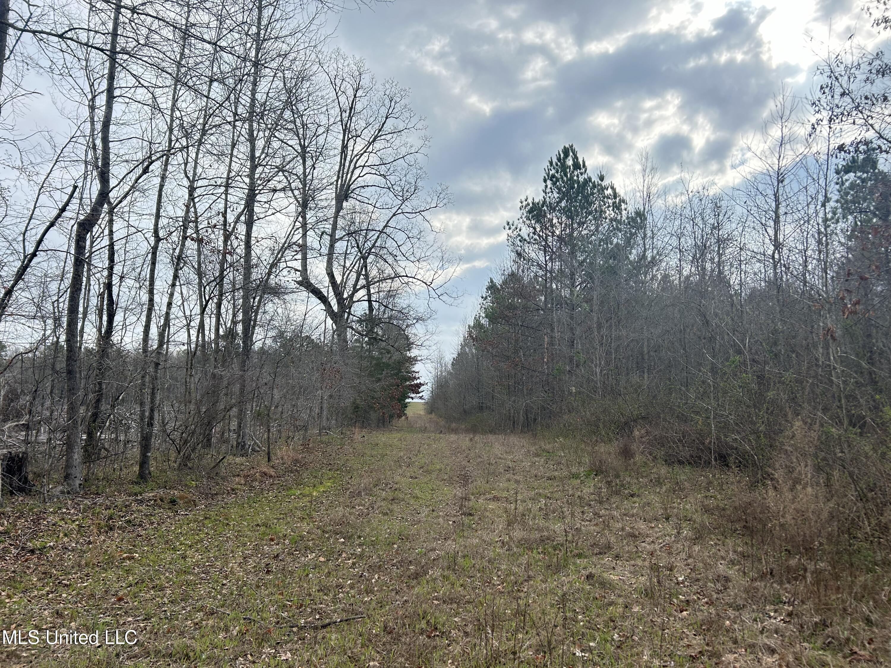 4627 Race Track Road West, MS 39192 - Photo 31 of 73 Photo Mar 14 2024, 9 59 18 AM