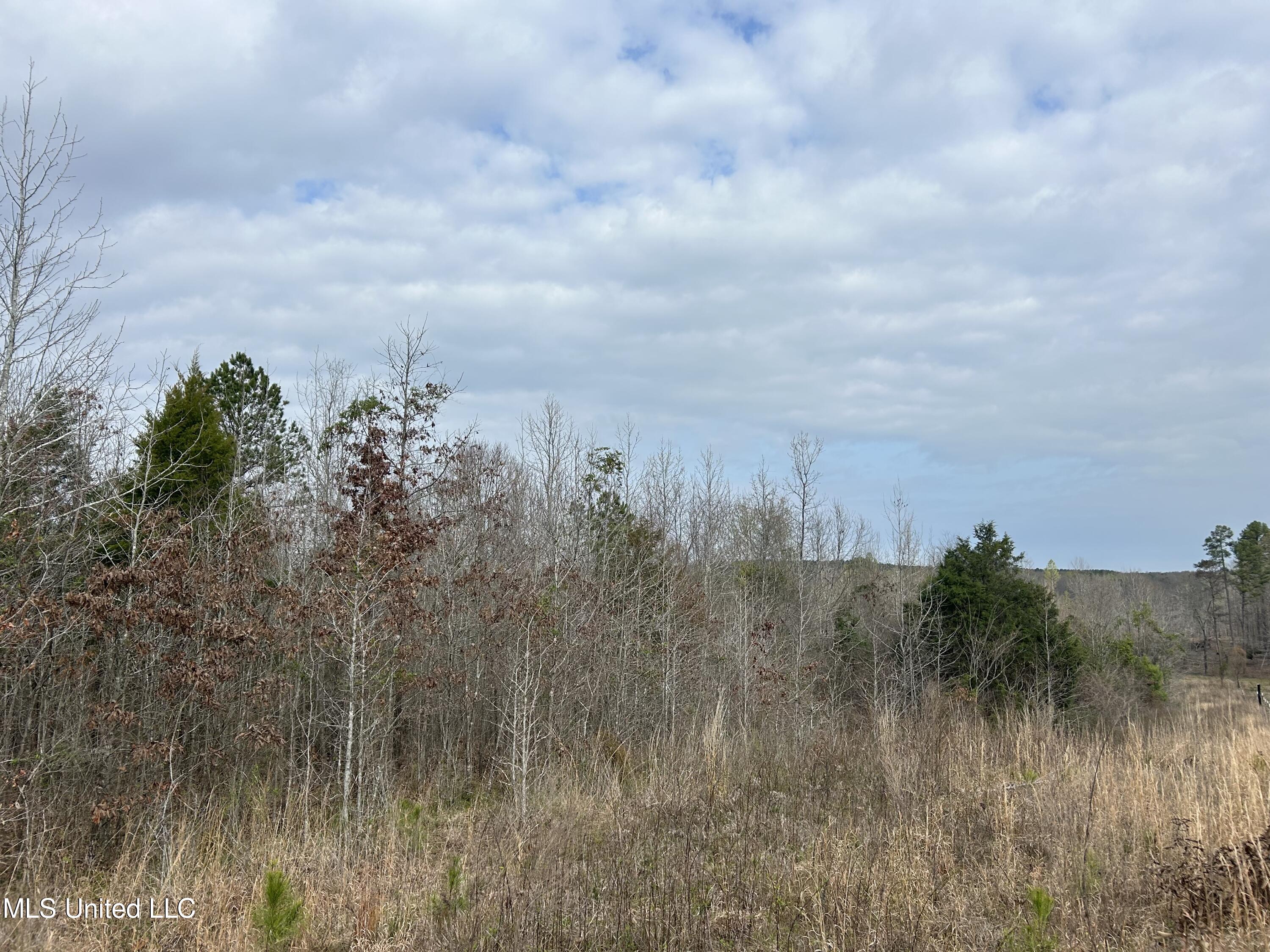 4627 Race Track Road West, MS 39192 - Photo 33 of 73 Photo Mar 14 2024, 10 13 45 AM