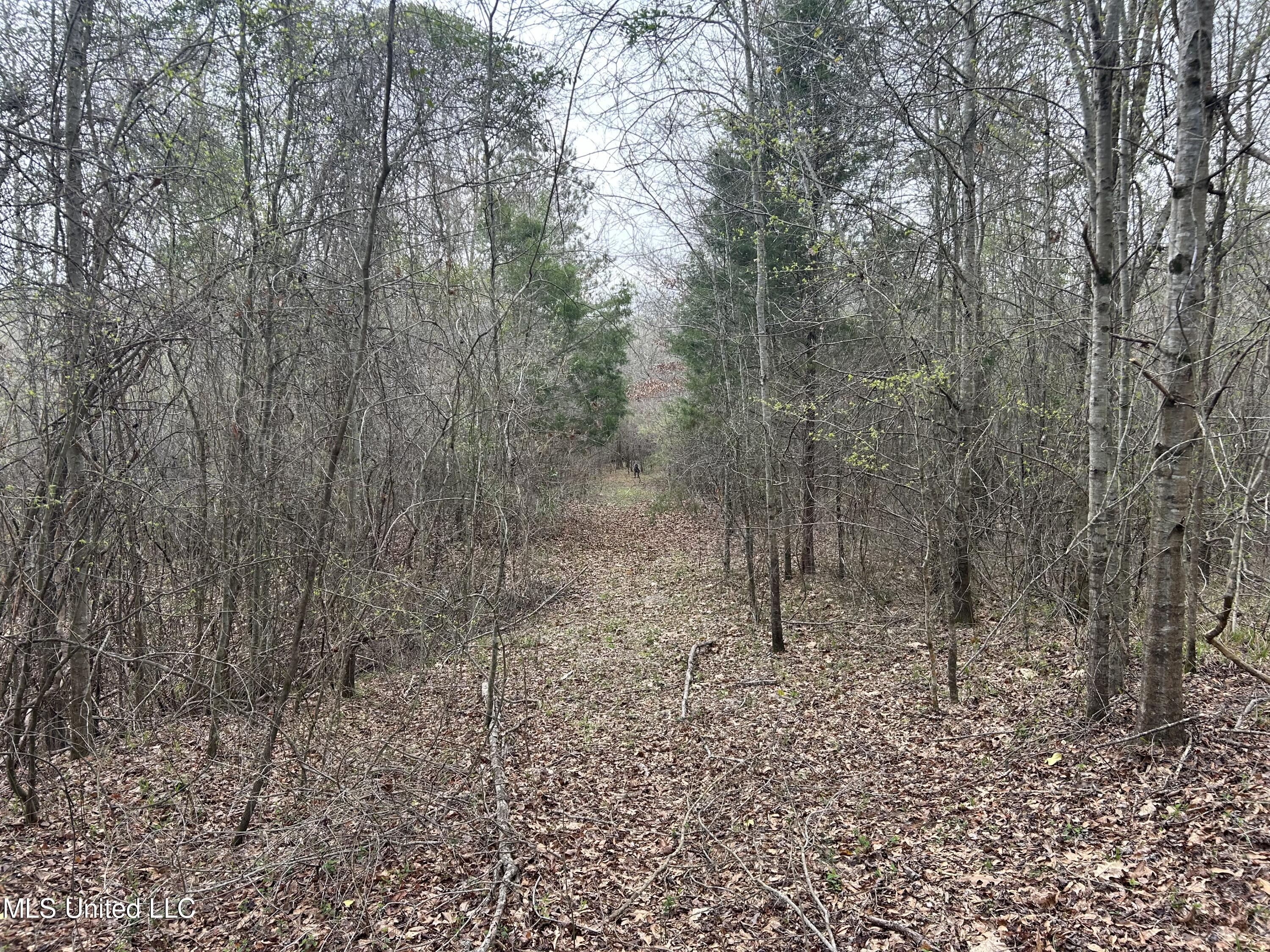4627 Race Track Road West, MS 39192 - Photo 36 of 73 Photo Mar 14 2024, 10 24 22 AM