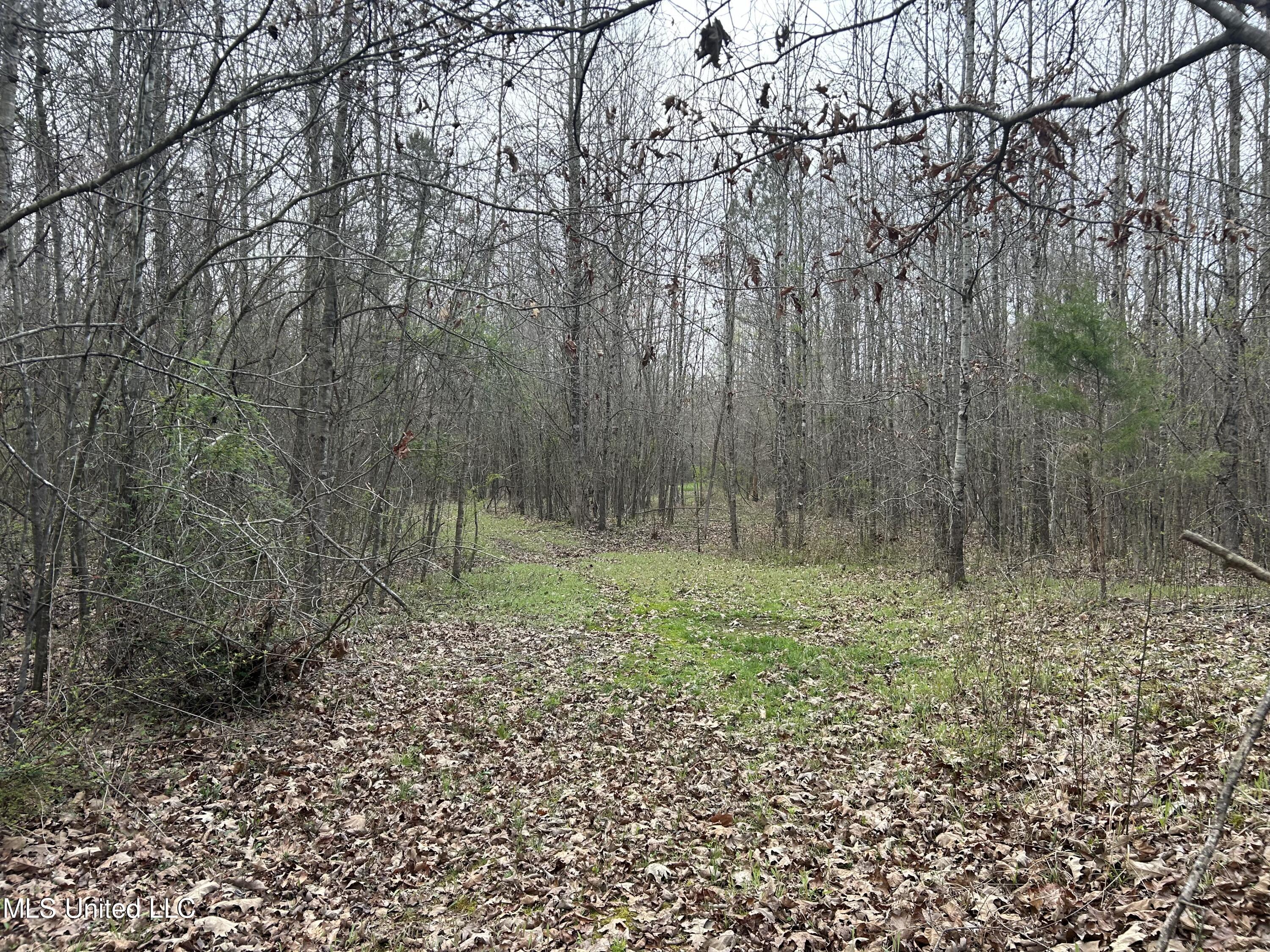 4627 Race Track Road West, MS 39192 - Photo 37 of 73 Photo Mar 14 2024, 10 26 48 AM