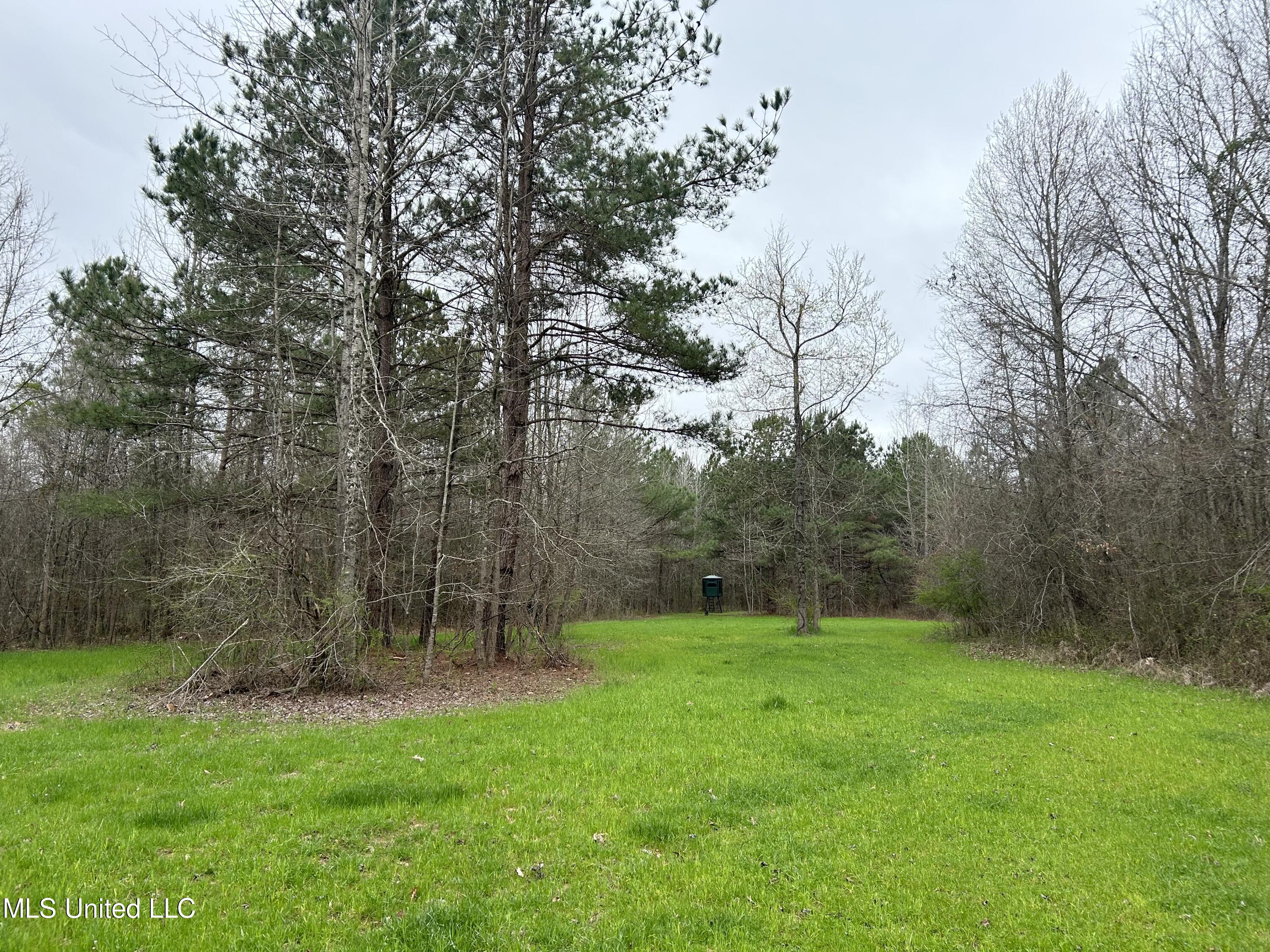 4627 Race Track Road West, MS 39192 - Photo 38 of 73 Photo Mar 14 2024, 10 37 31 AM