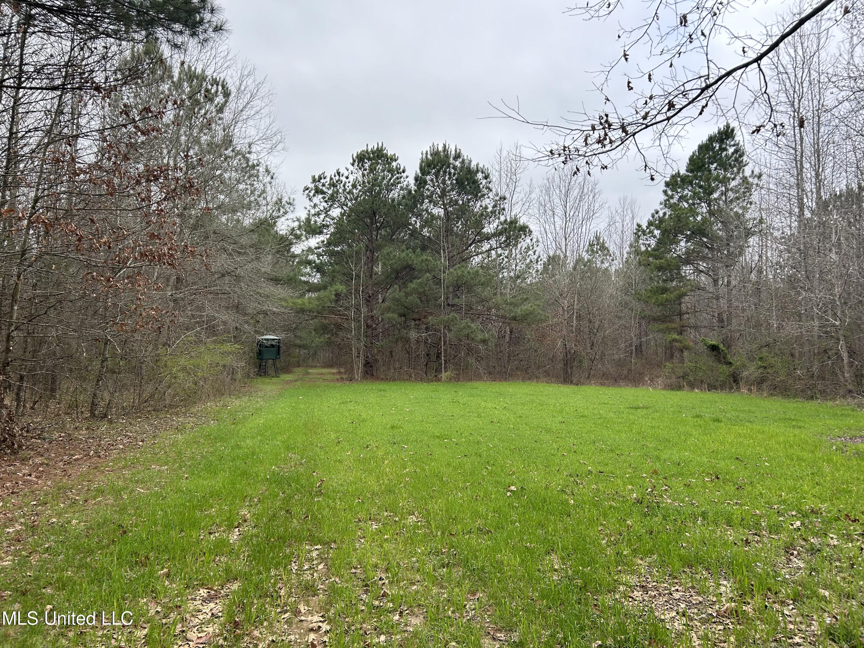4627 Race Track Road West, MS 39192 - Photo 40 of 73 Photo Mar 14 2024, 10 38 26 AM