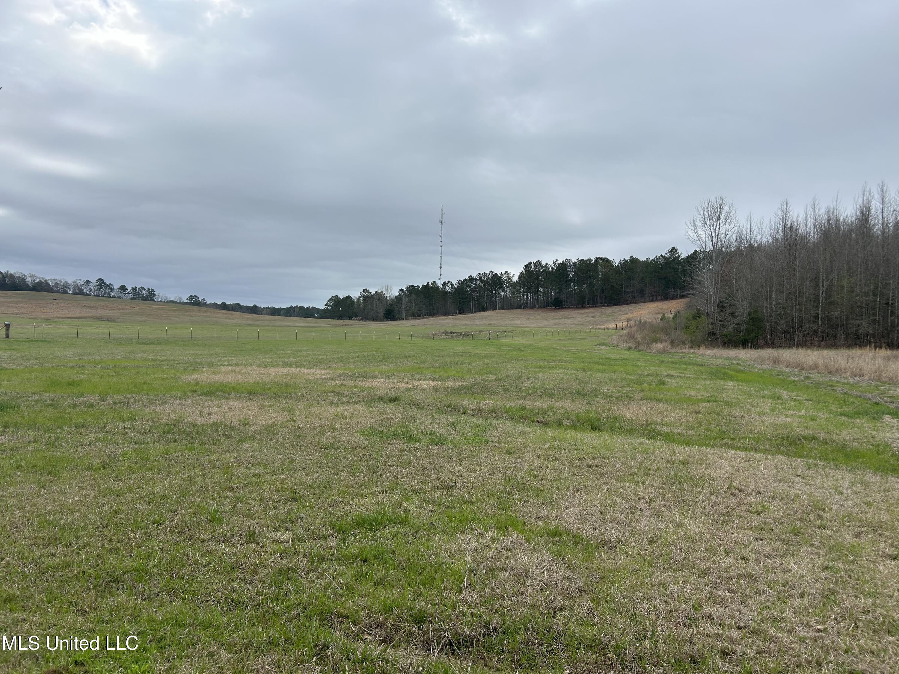 4627 Race Track Road West, MS 39192 - Photo 42 of 73 Photo Mar 14 2024, 10 47 28 AM