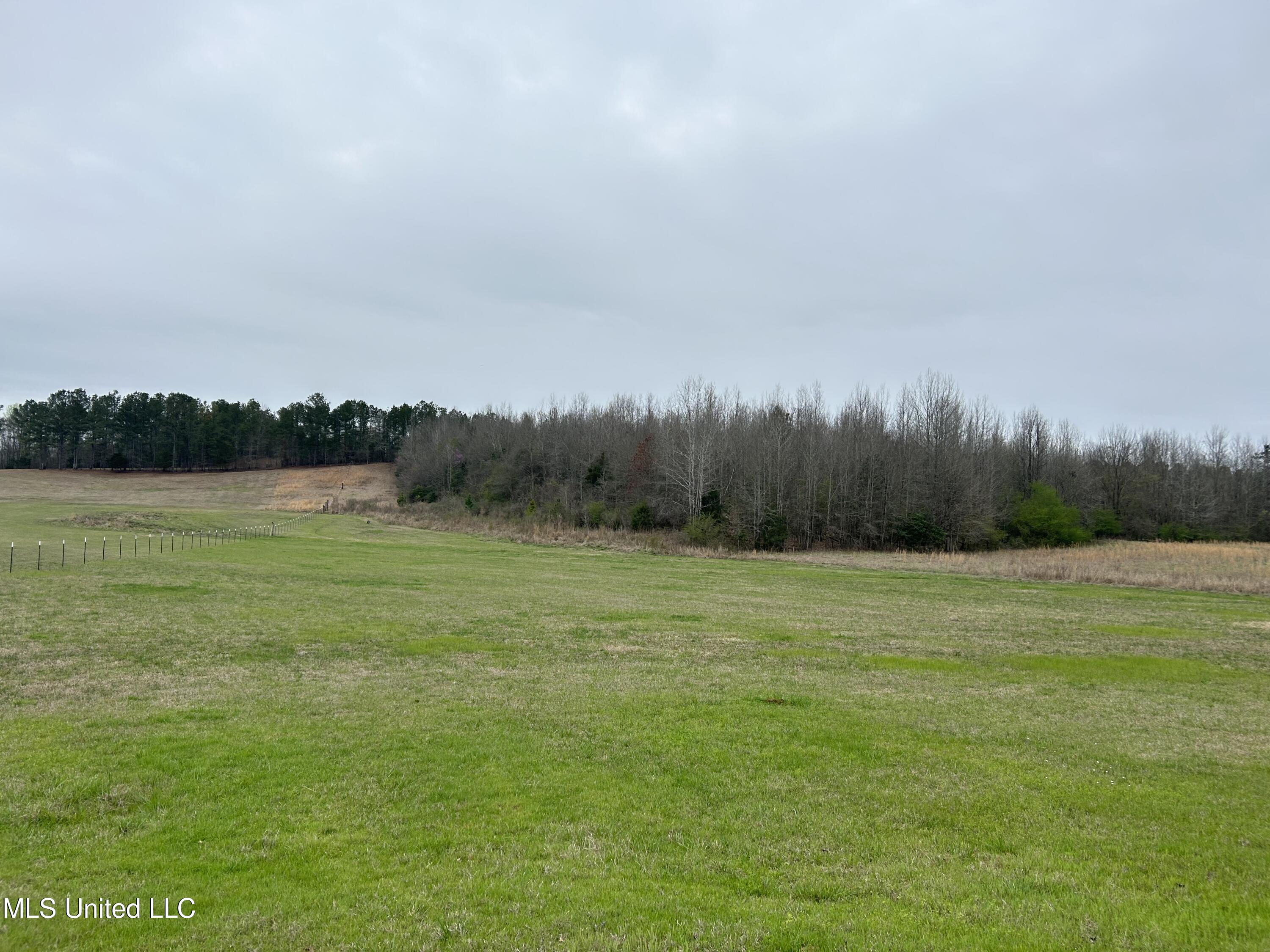 4627 Race Track Road West, MS 39192 - Photo 43 of 73 Photo Mar 14 2024, 10 48 21 AM