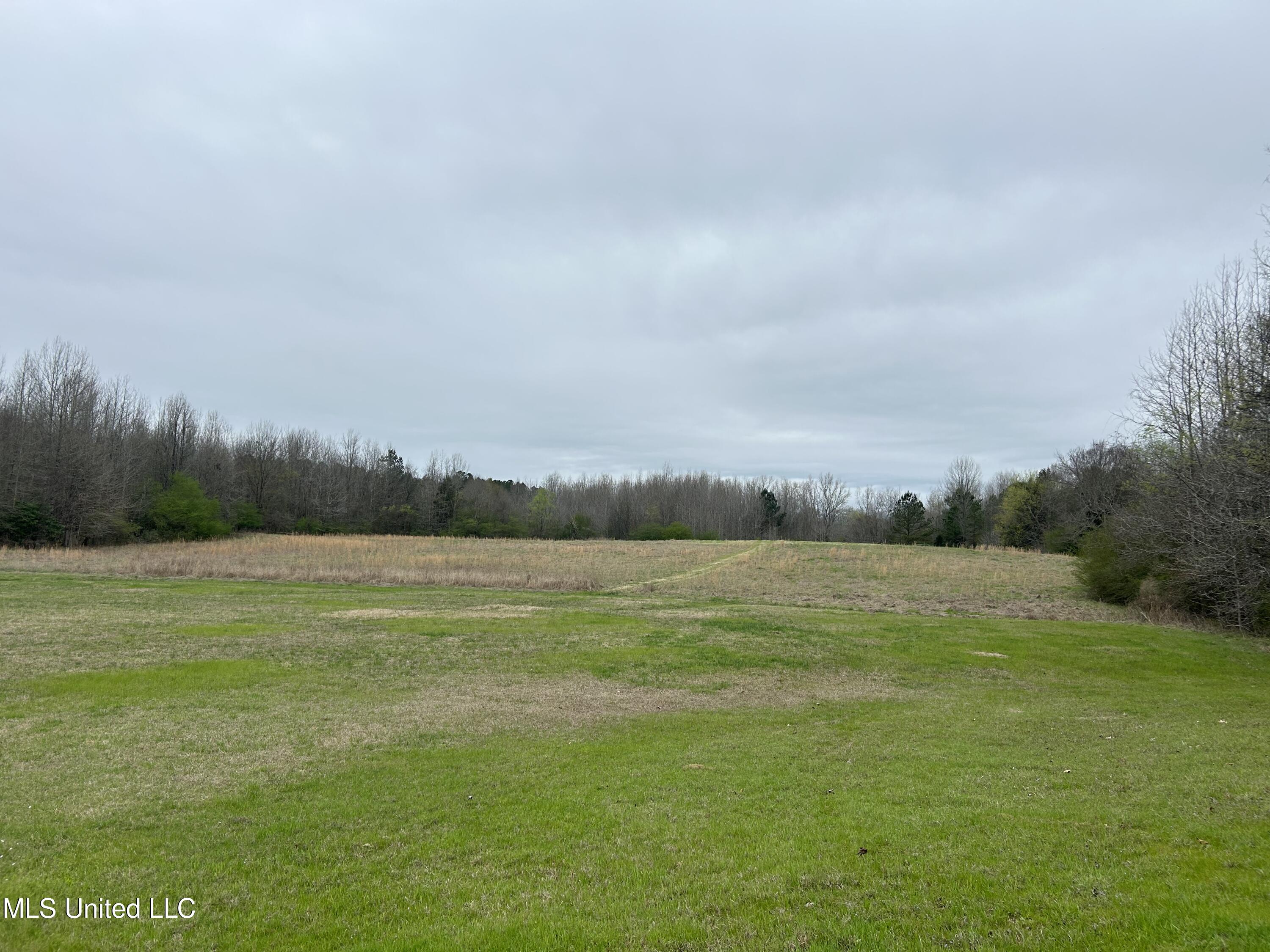 4627 Race Track Road West, MS 39192 - Photo 44 of 73 Photo Mar 14 2024, 10 48 28 AM