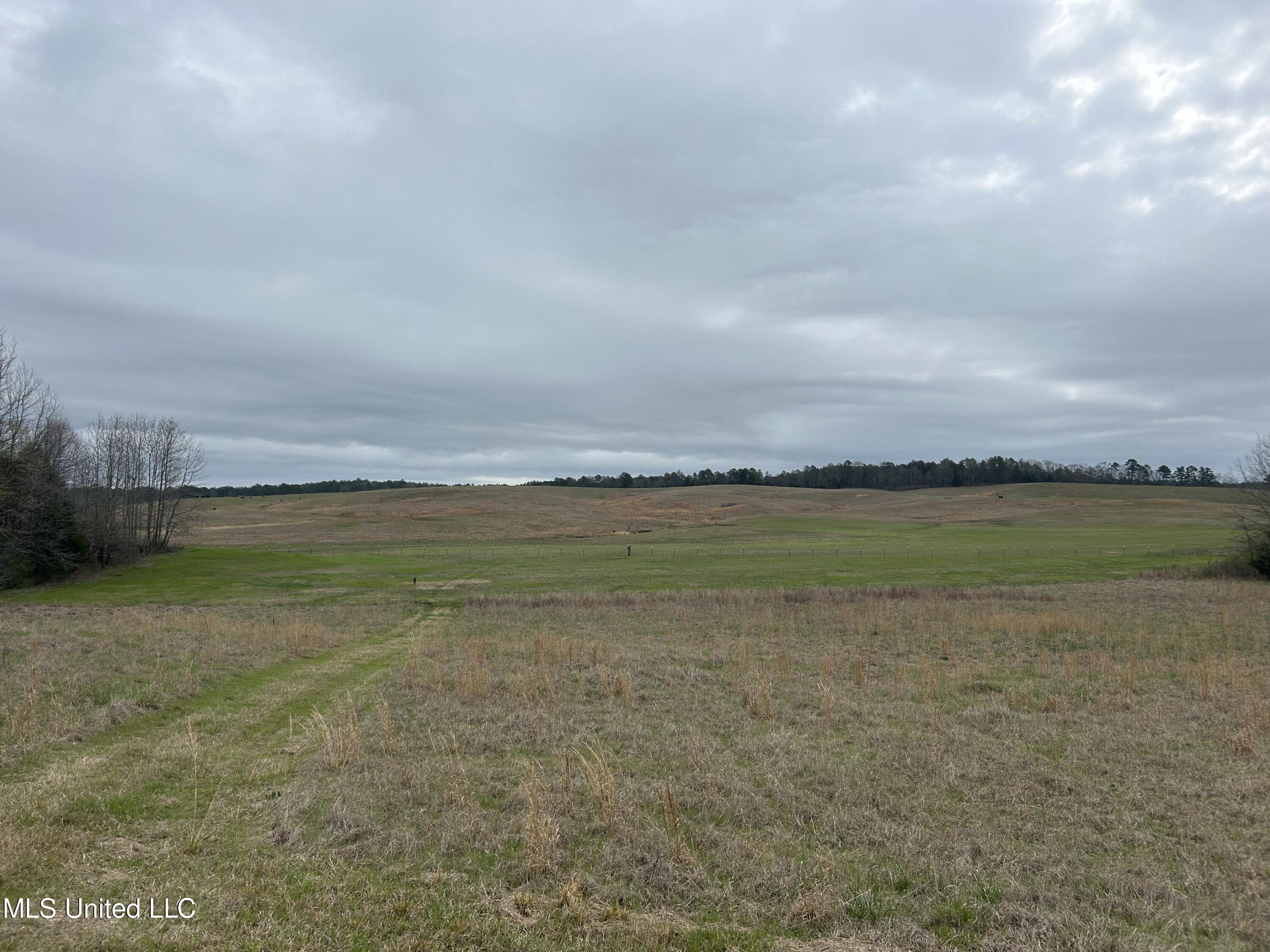 4627 Race Track Road West, MS 39192 - Photo 45 of 73 Photo Mar 14 2024, 10 50 27 AM