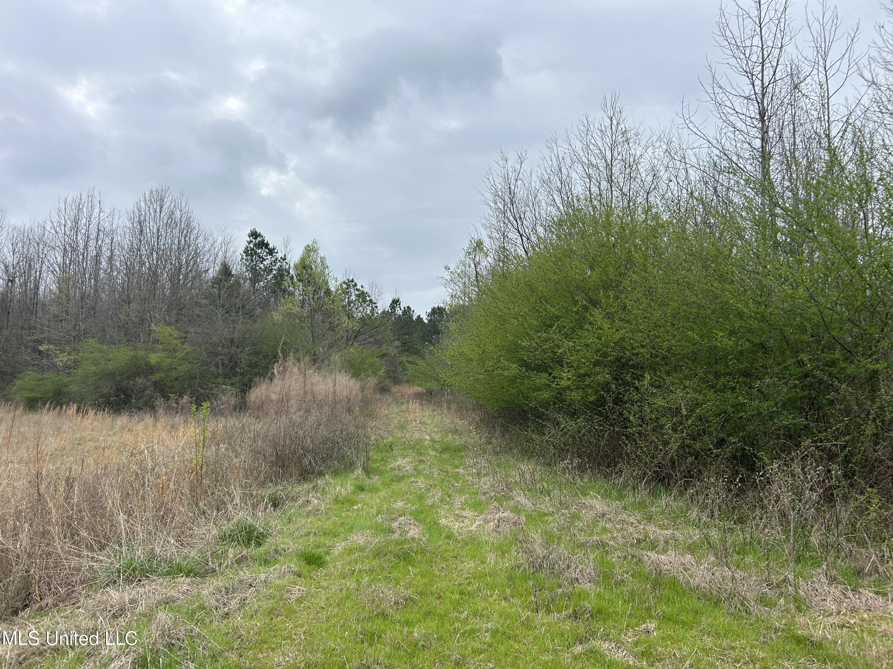 4627 Race Track Road West, MS 39192 - Photo 46 of 73 Photo Mar 14 2024, 10 51 39 AM