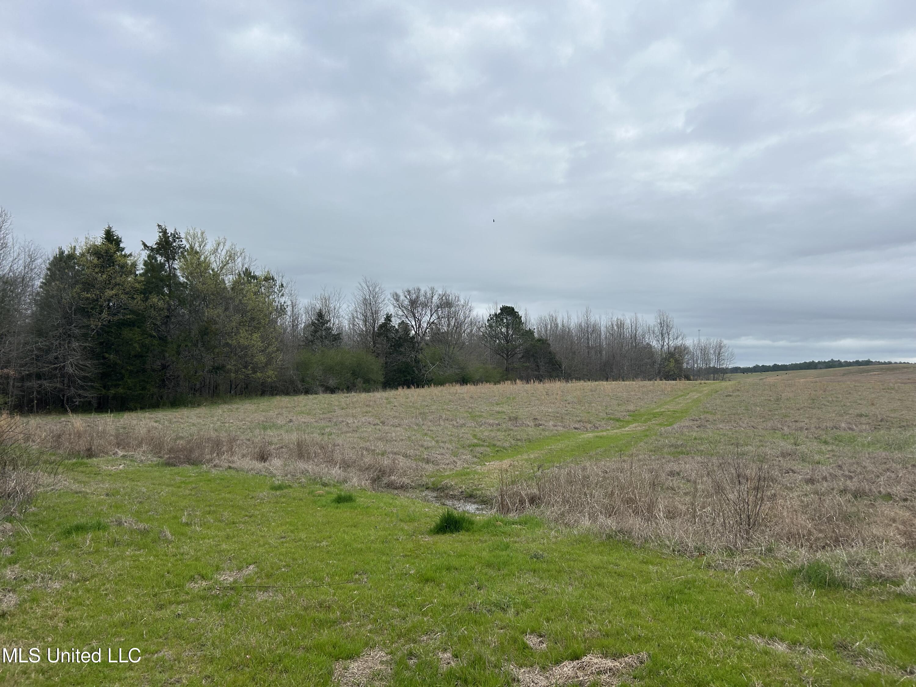 4627 Race Track Road West, MS 39192 - Photo 47 of 73 Photo Mar 14 2024, 10 51 46 AM