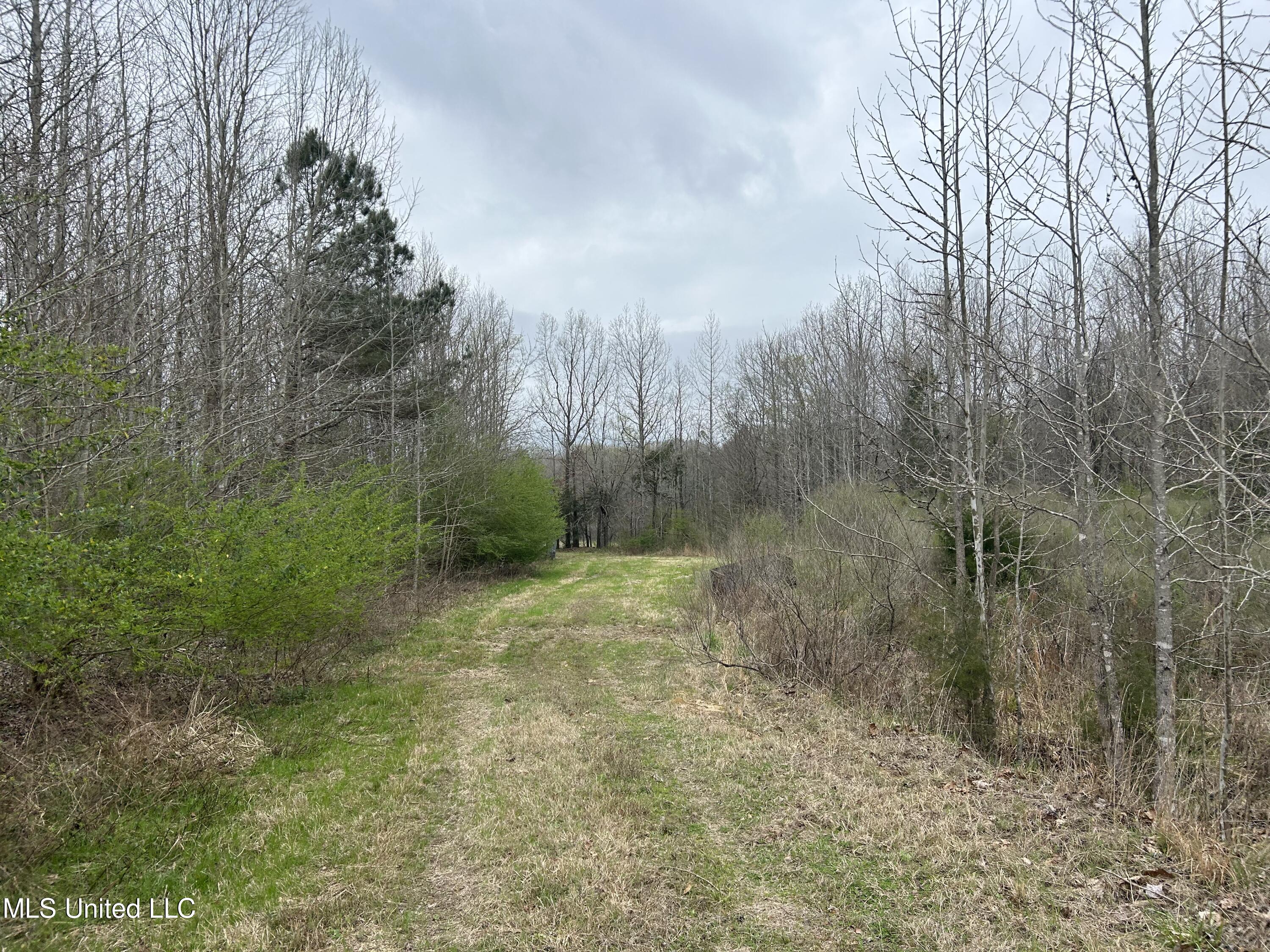 4627 Race Track Road West, MS 39192 - Photo 48 of 73 Photo Mar 14 2024, 10 51 52 AM