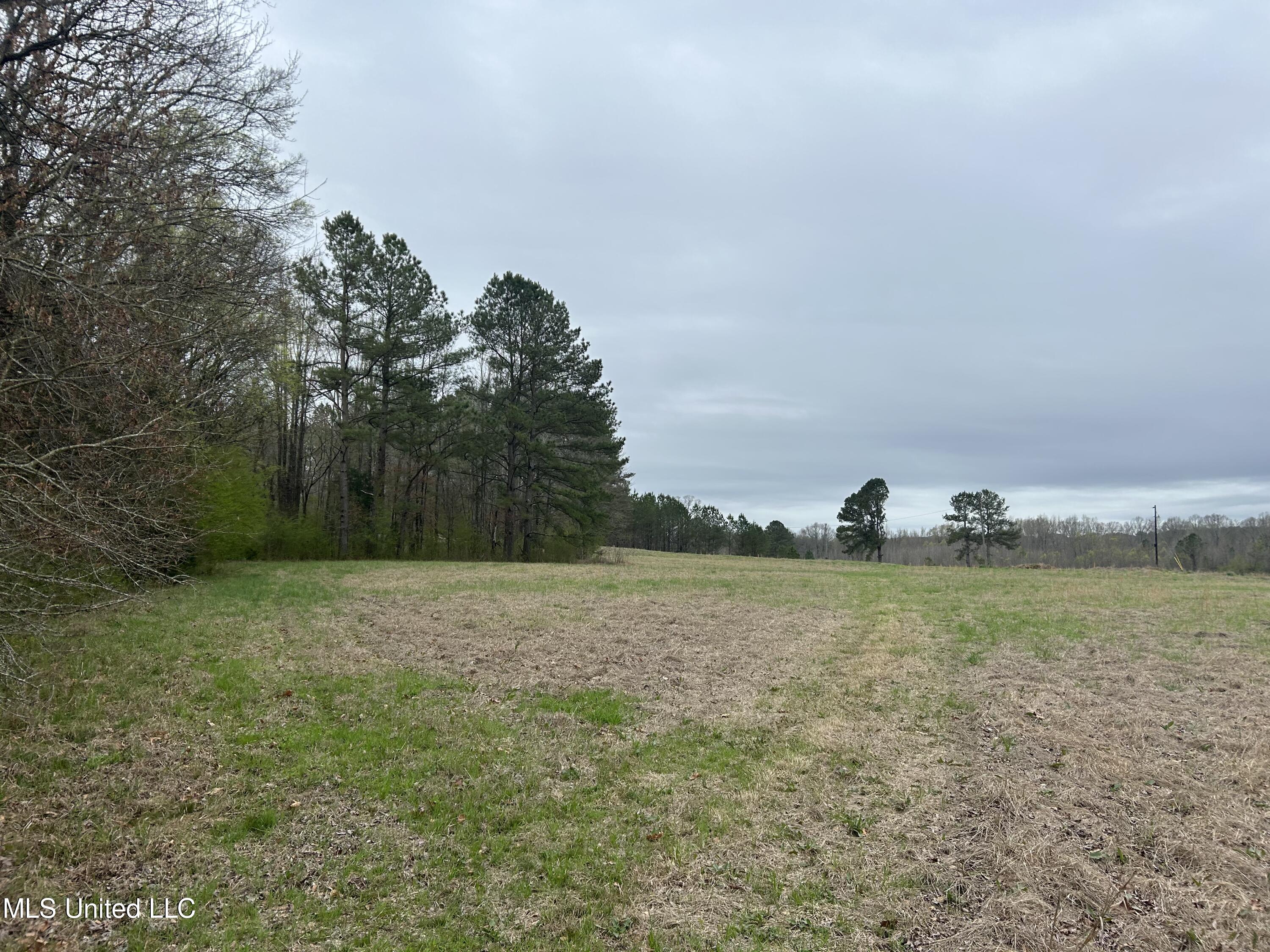 4627 Race Track Road West, MS 39192 - Photo 50 of 73 Photo Mar 14 2024, 10 53 45 AM