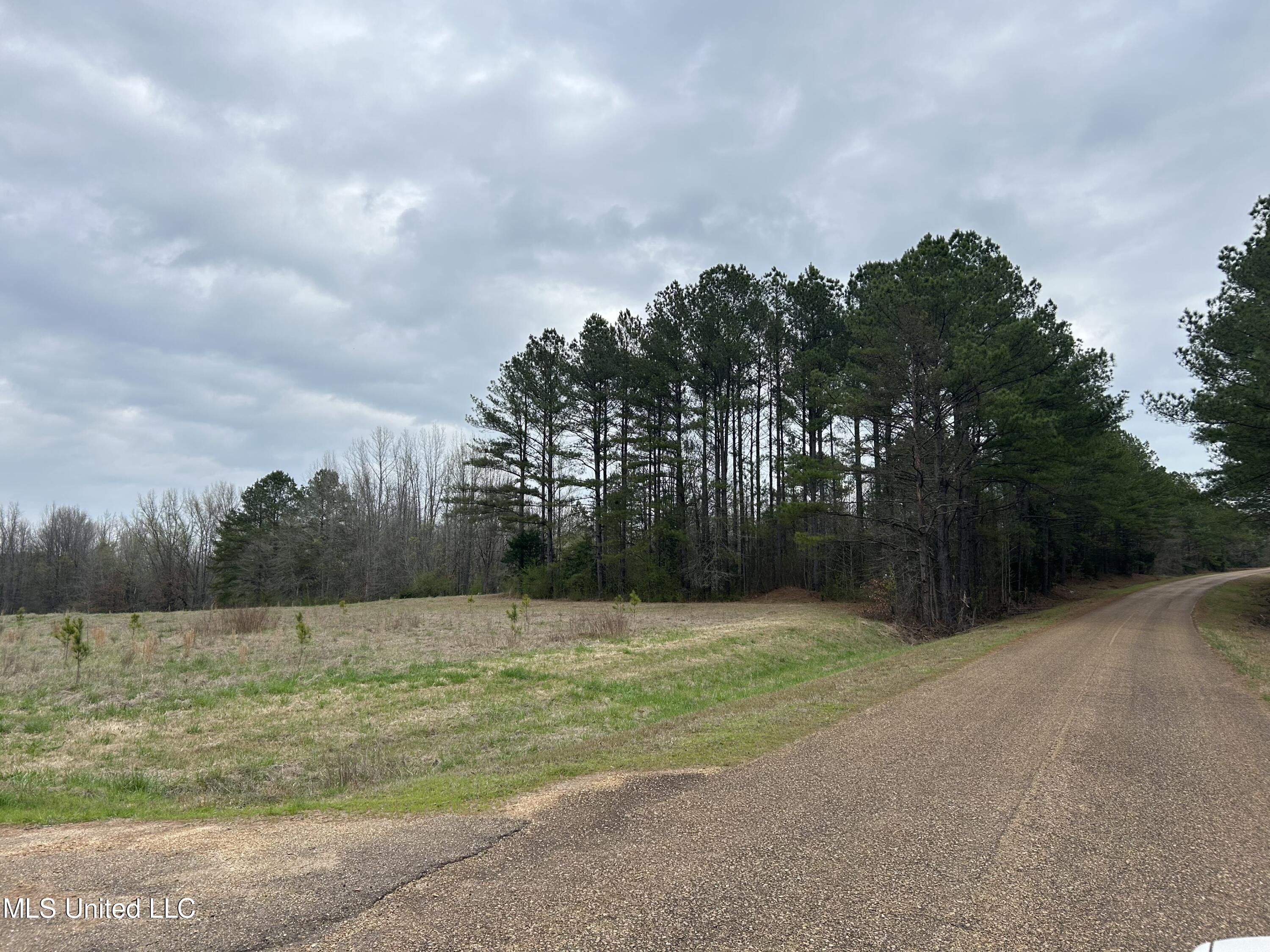 4627 Race Track Road West, MS 39192 - Photo 5 of 73 Photo Mar 14 2024, 9 25 04 AM (1)