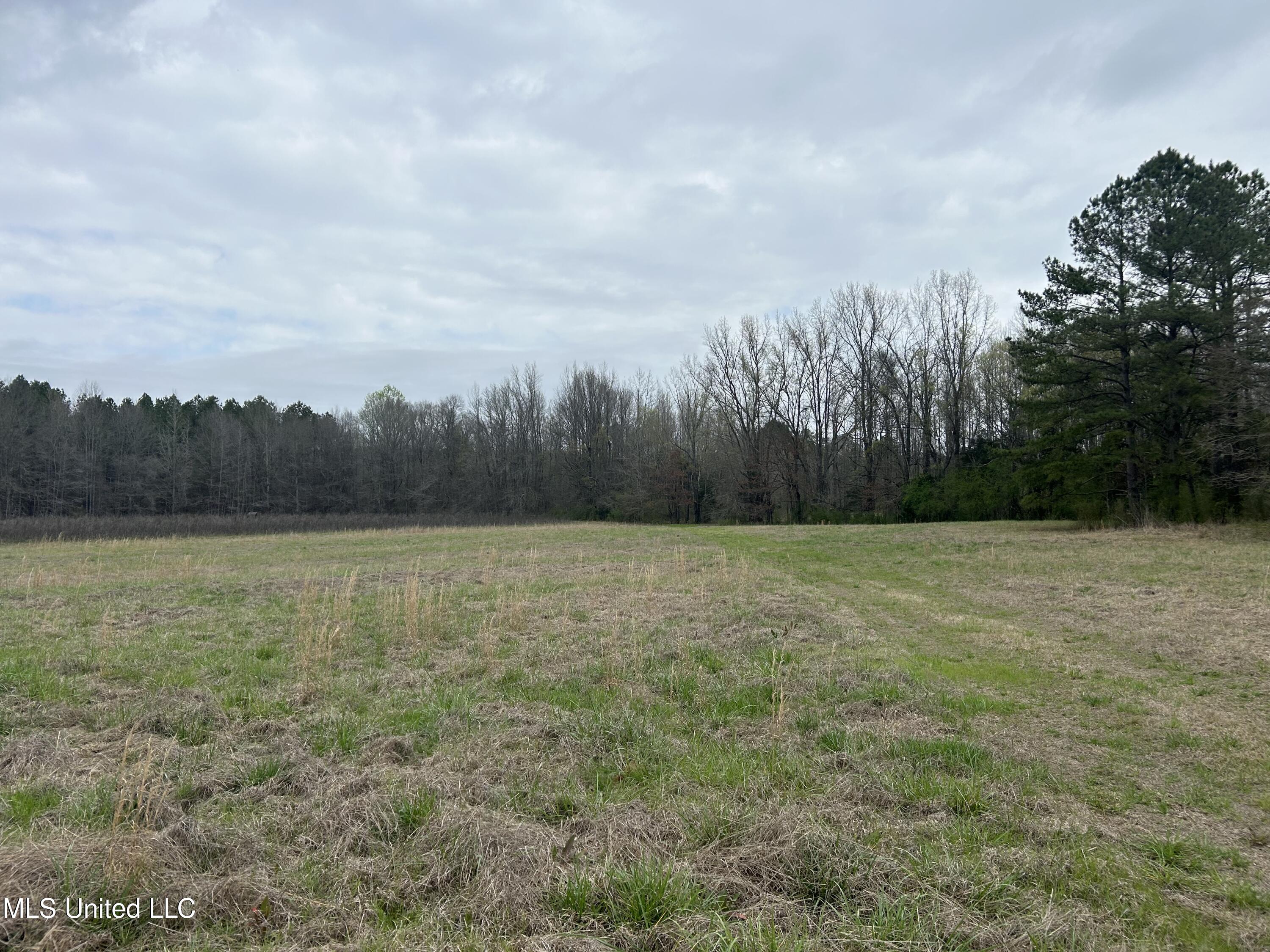 4627 Race Track Road West, MS 39192 - Photo 51 of 73 Photo Mar 14 2024, 10 55 20 AM