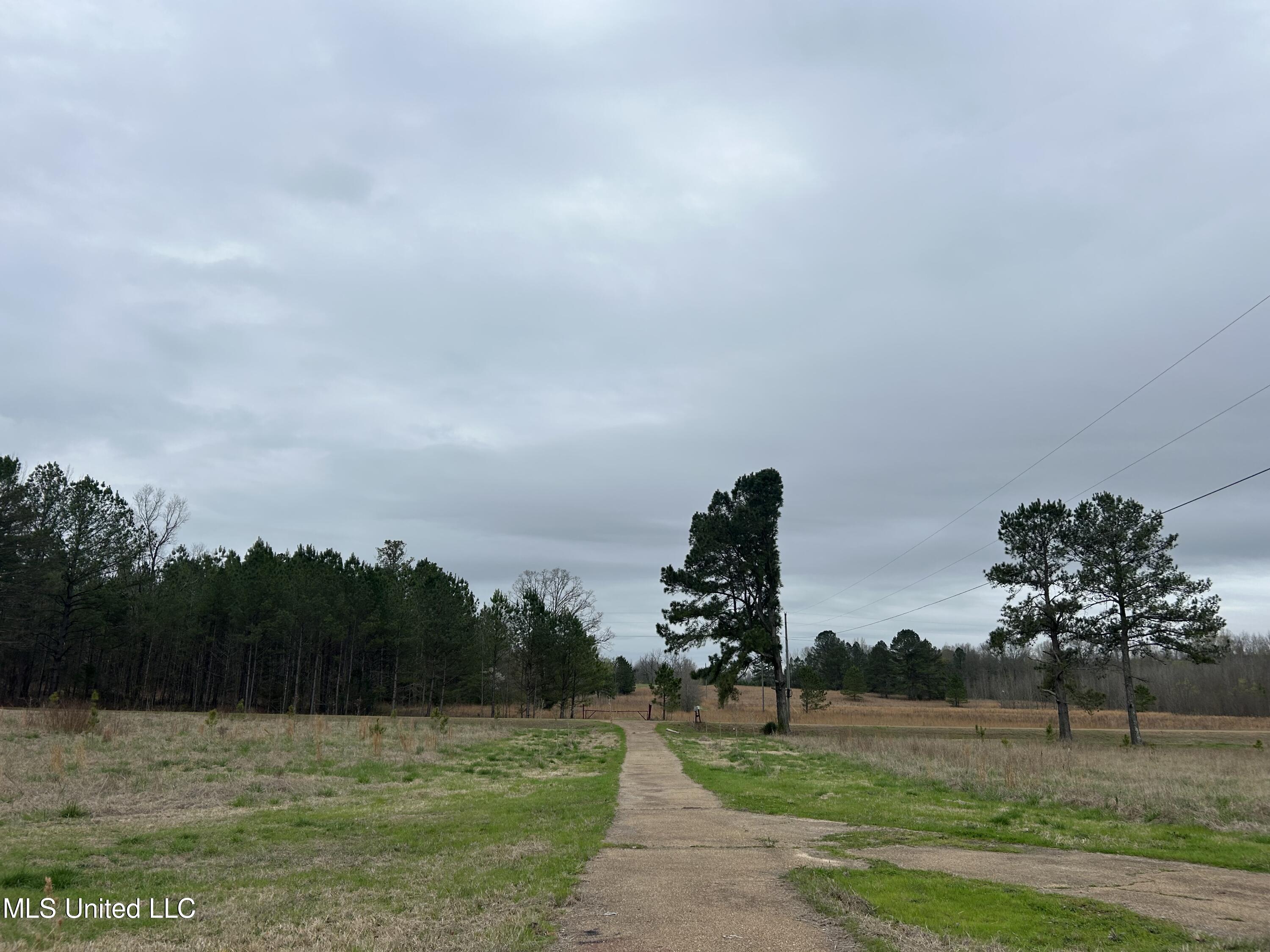 4627 Race Track Road West, MS 39192 - Photo 52 of 73 Photo Mar 14 2024, 10 55 45 AM