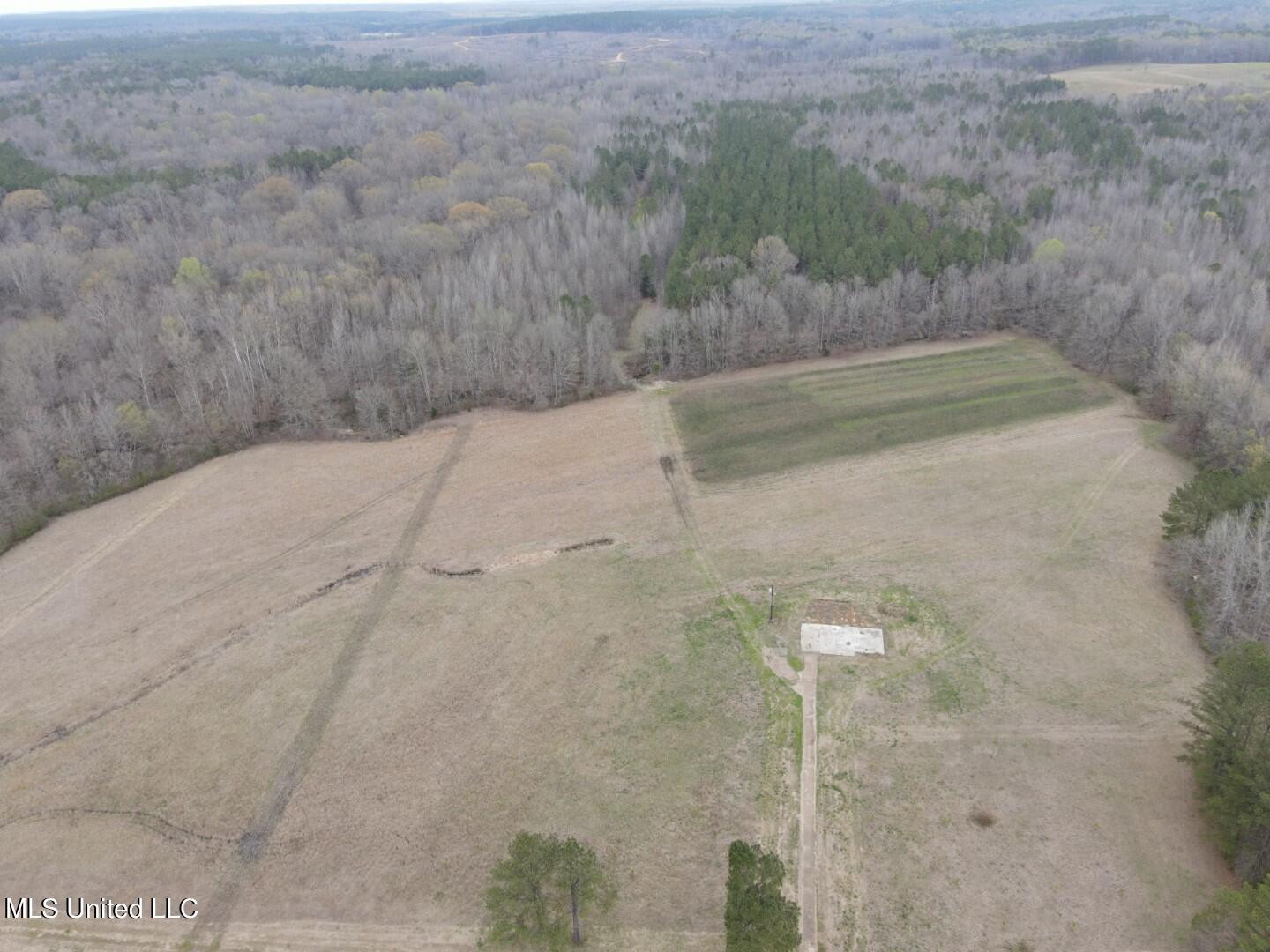 4627 Race Track Road West, MS 39192 - Photo 53 of 73 Photo Mar 14 2024, 11 01 02 AM (Large)