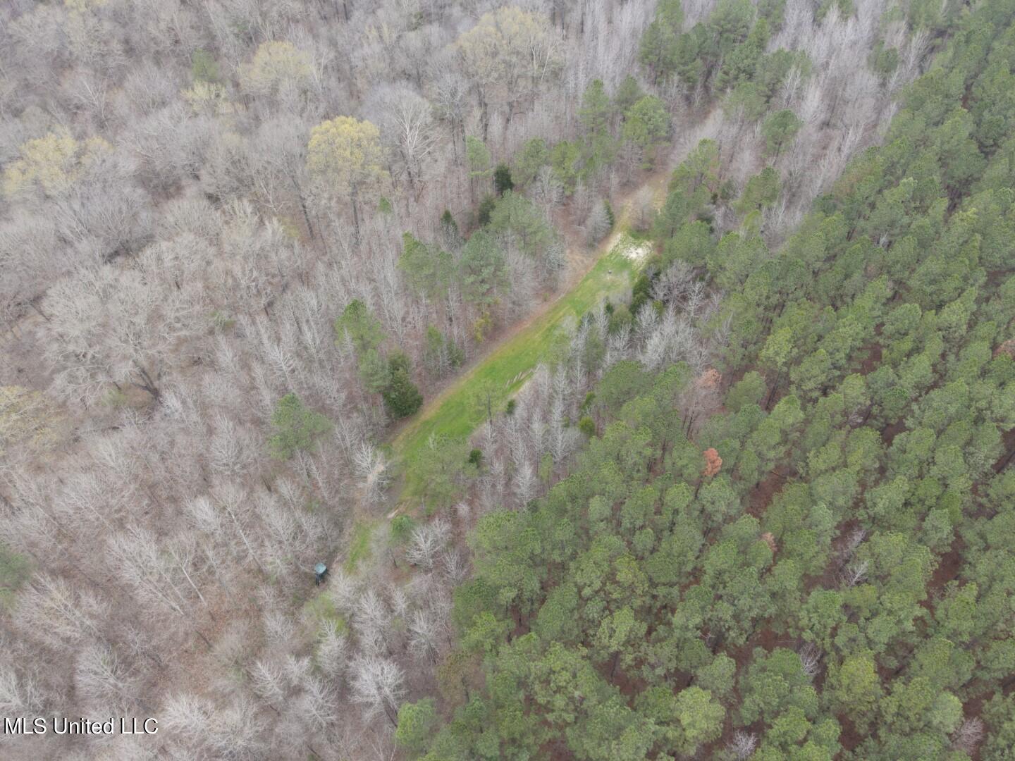 4627 Race Track Road West, MS 39192 - Photo 56 of 73 Photo Mar 14 2024, 11 03 04 AM (Large)