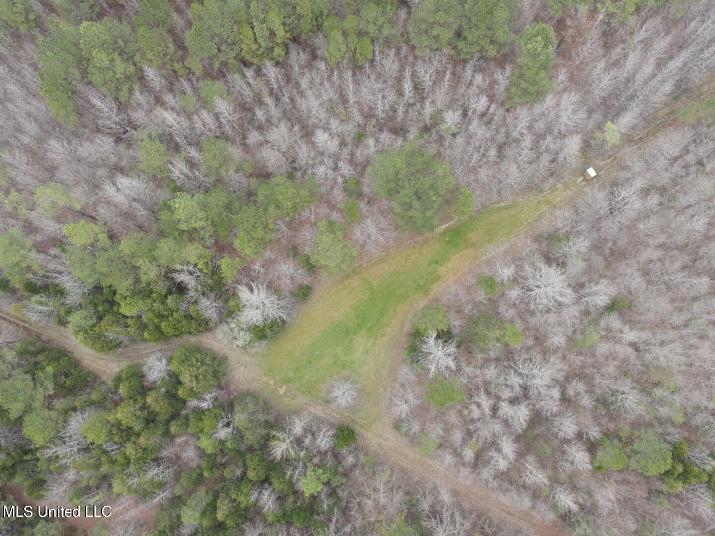 4627 Race Track Road West, MS 39192 - Photo 57 of 73 Photo Mar 14 2024, 11 03 42 AM (Large)